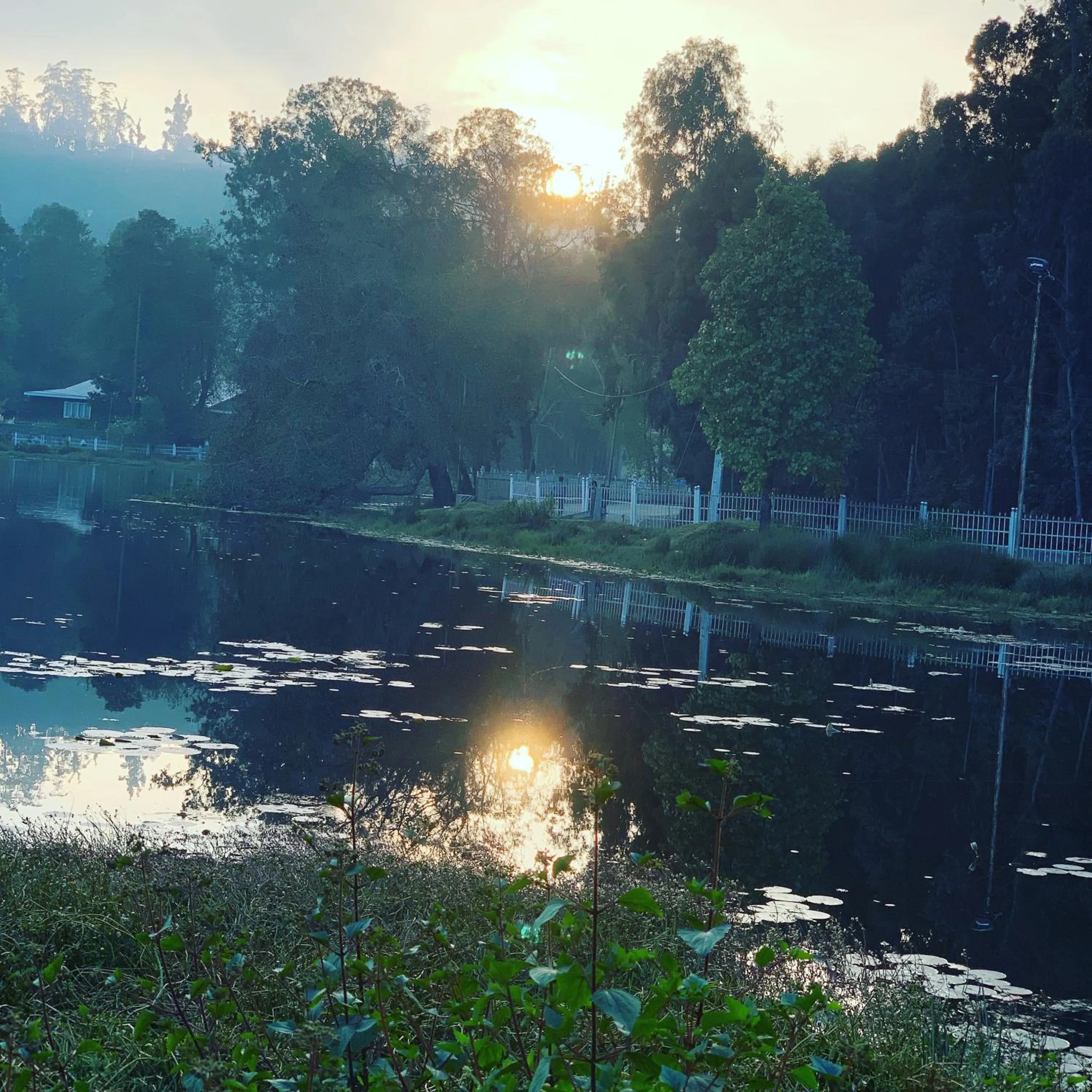 Natural landscape in JC Woodville Manor