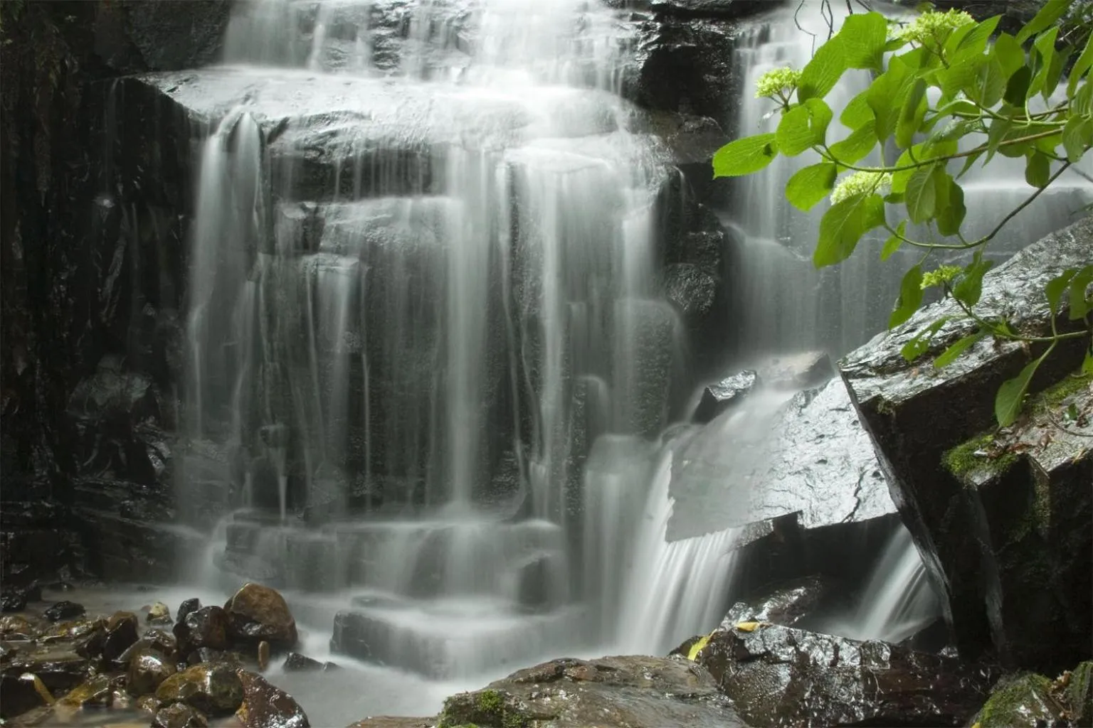 Natural landscape in Hogsback Arminel Hotel