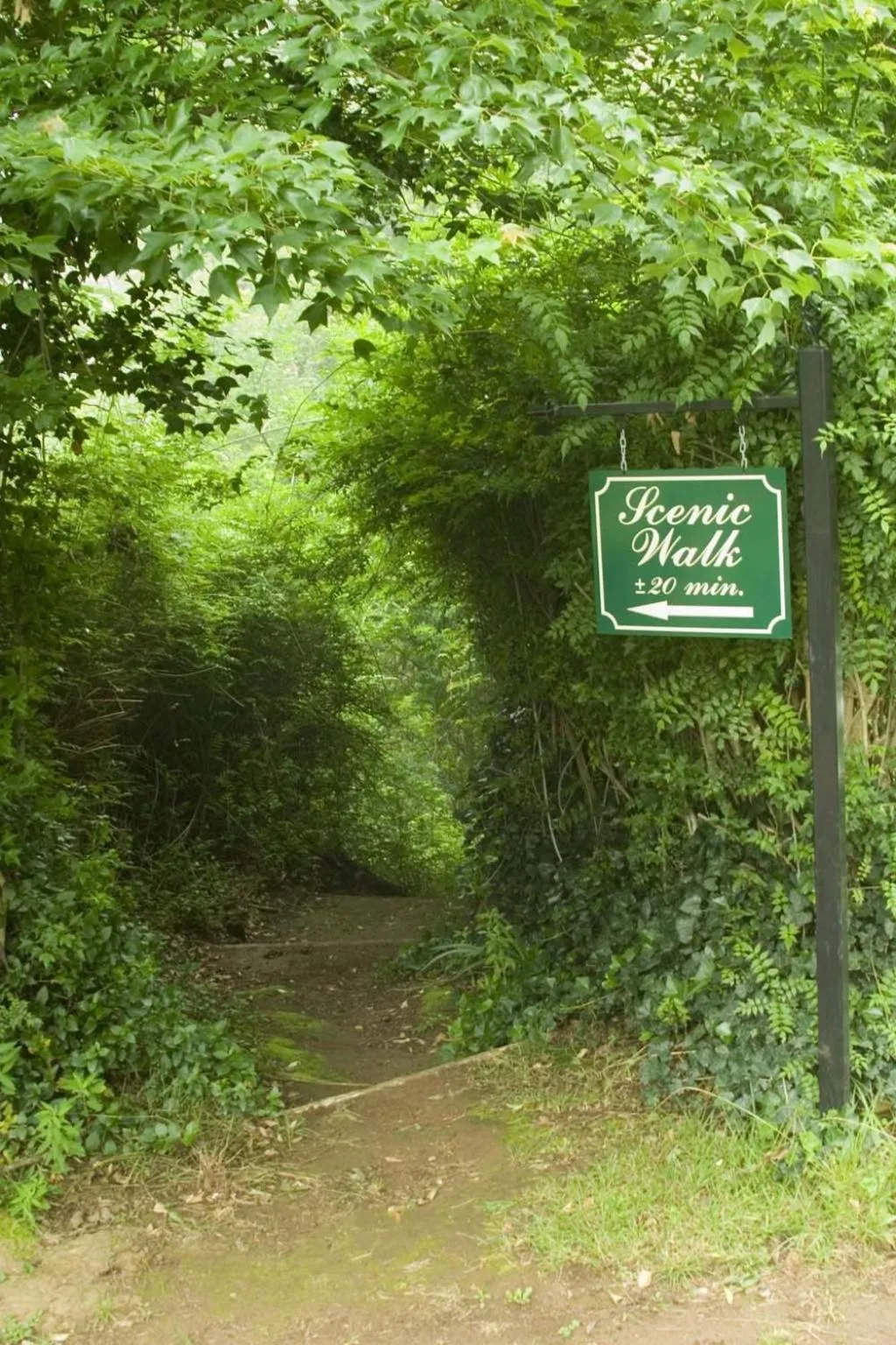 Natural landscape in Hogsback Arminel Hotel