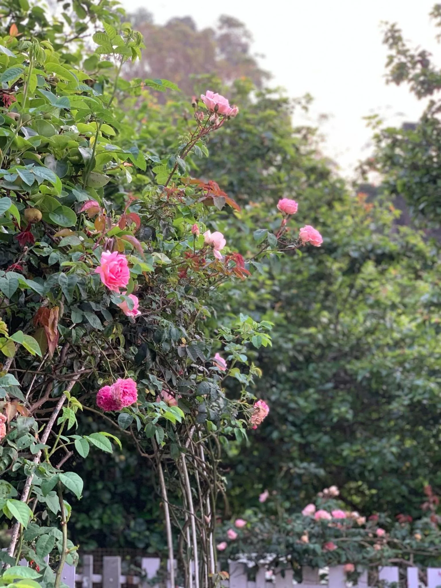 Off site in Hotel Jc Grand