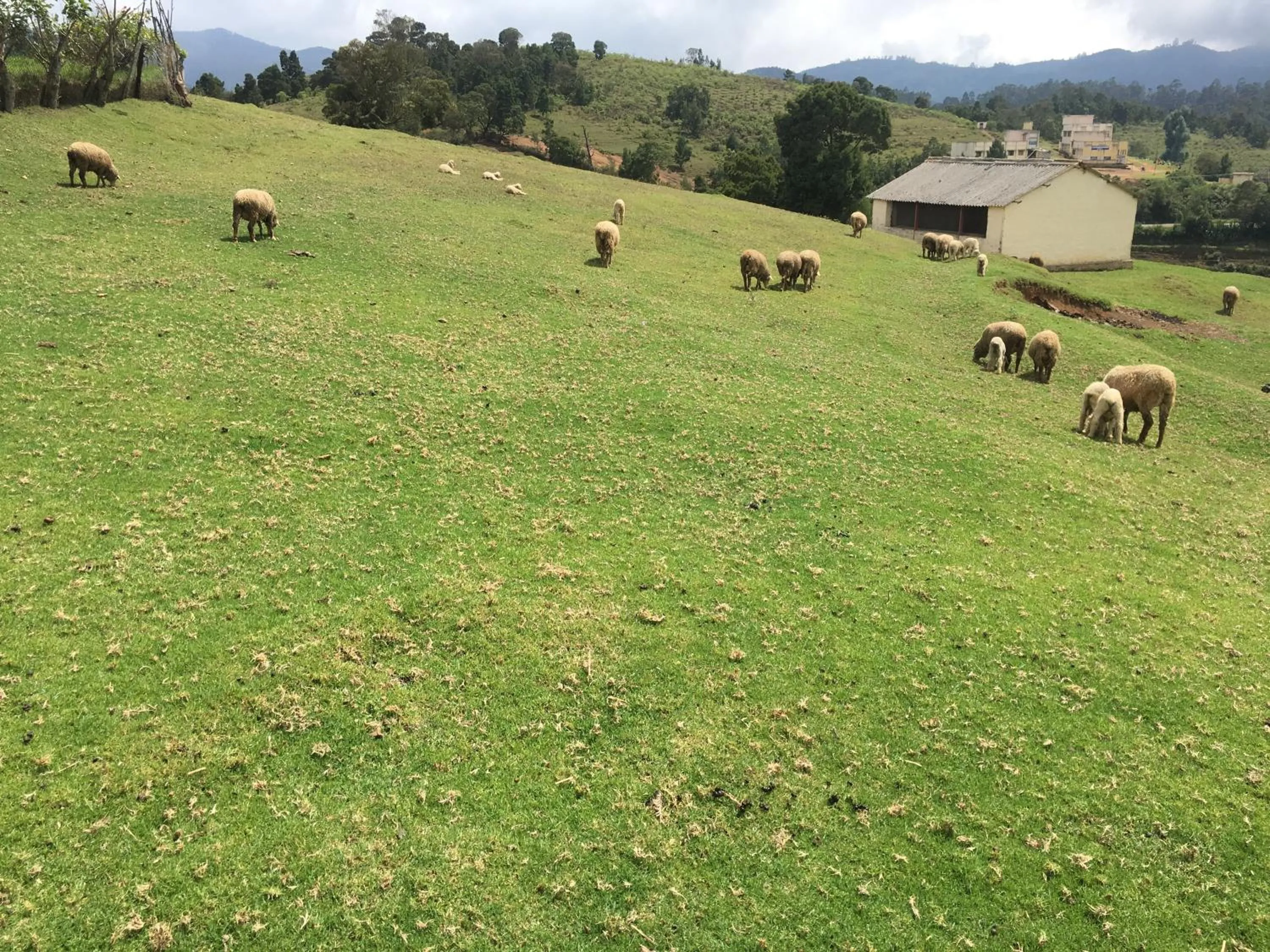 Natural landscape in Hotel Jc Grand