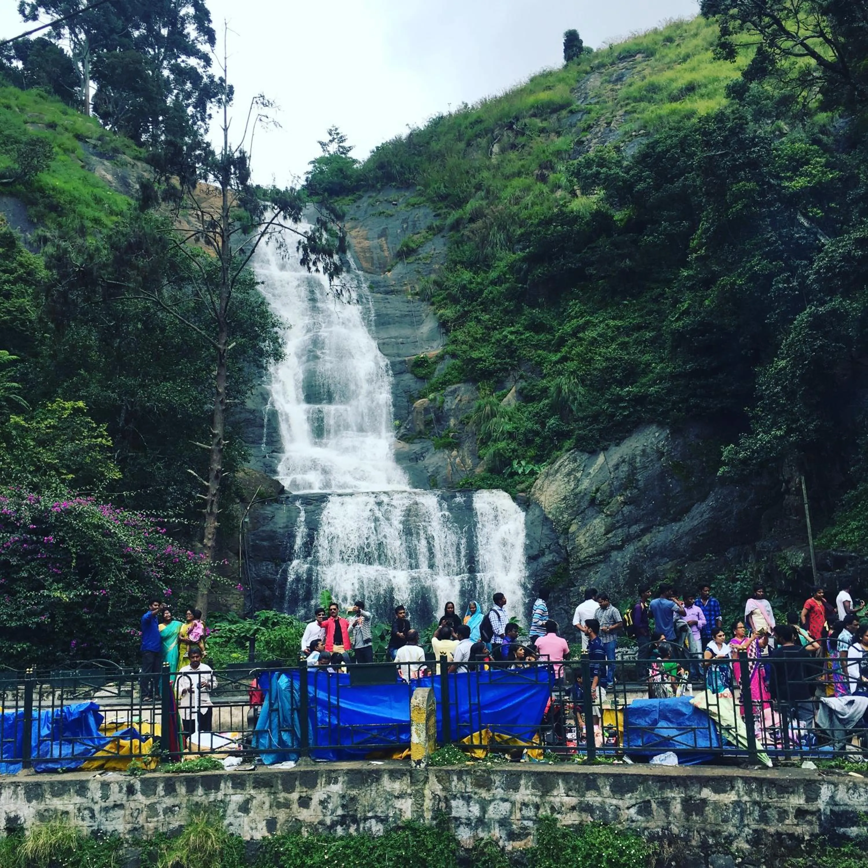 Natural landscape in Hotel Jc Grand