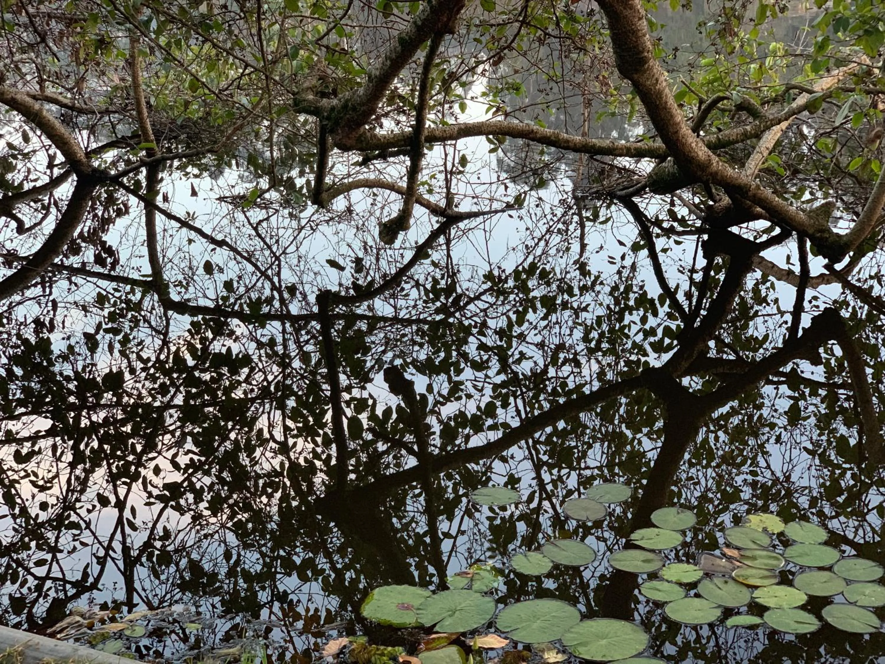 Nearby landmark in Hotel Jc Grand