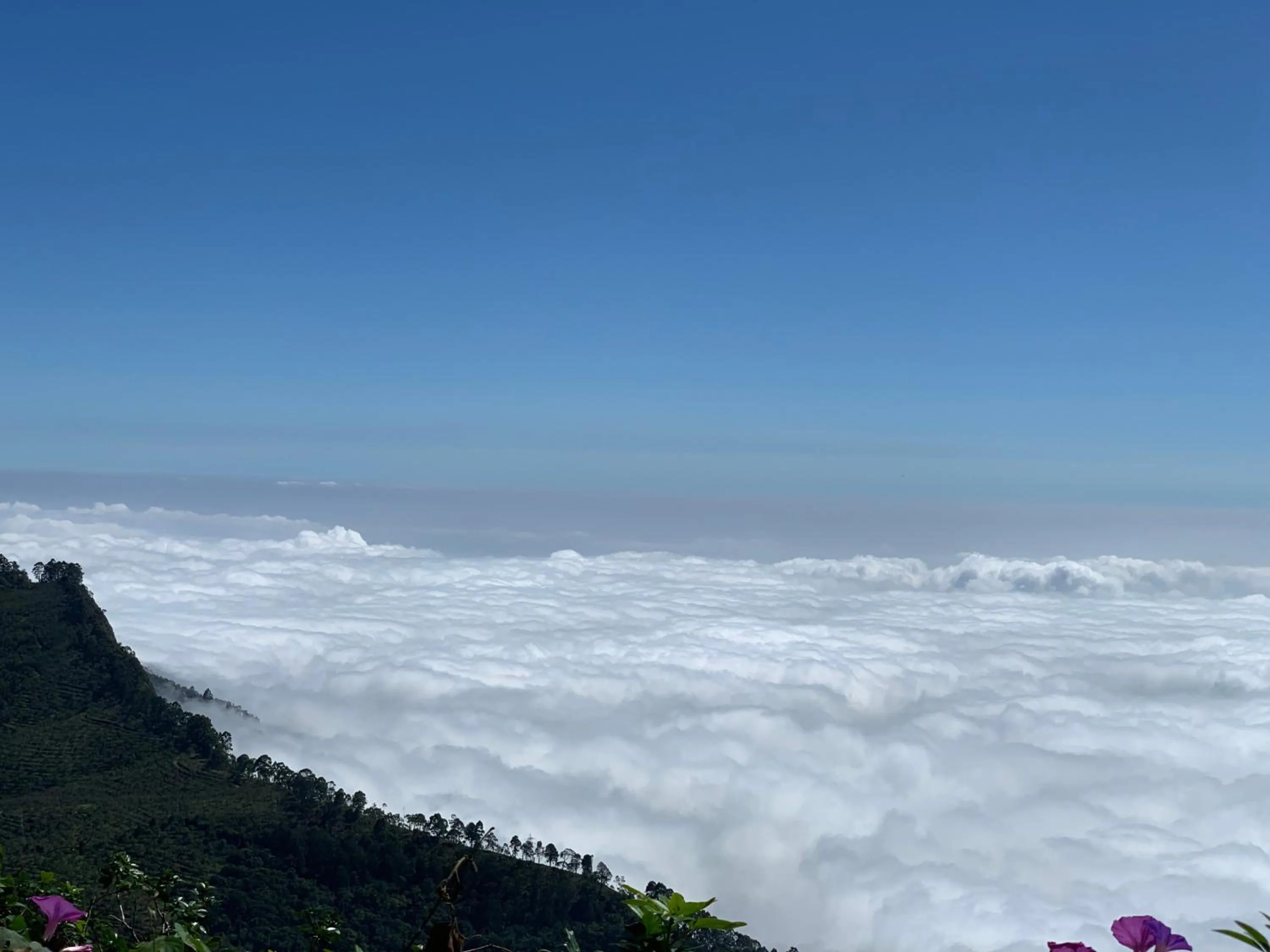 Nearby landmark in Hotel Jc Grand