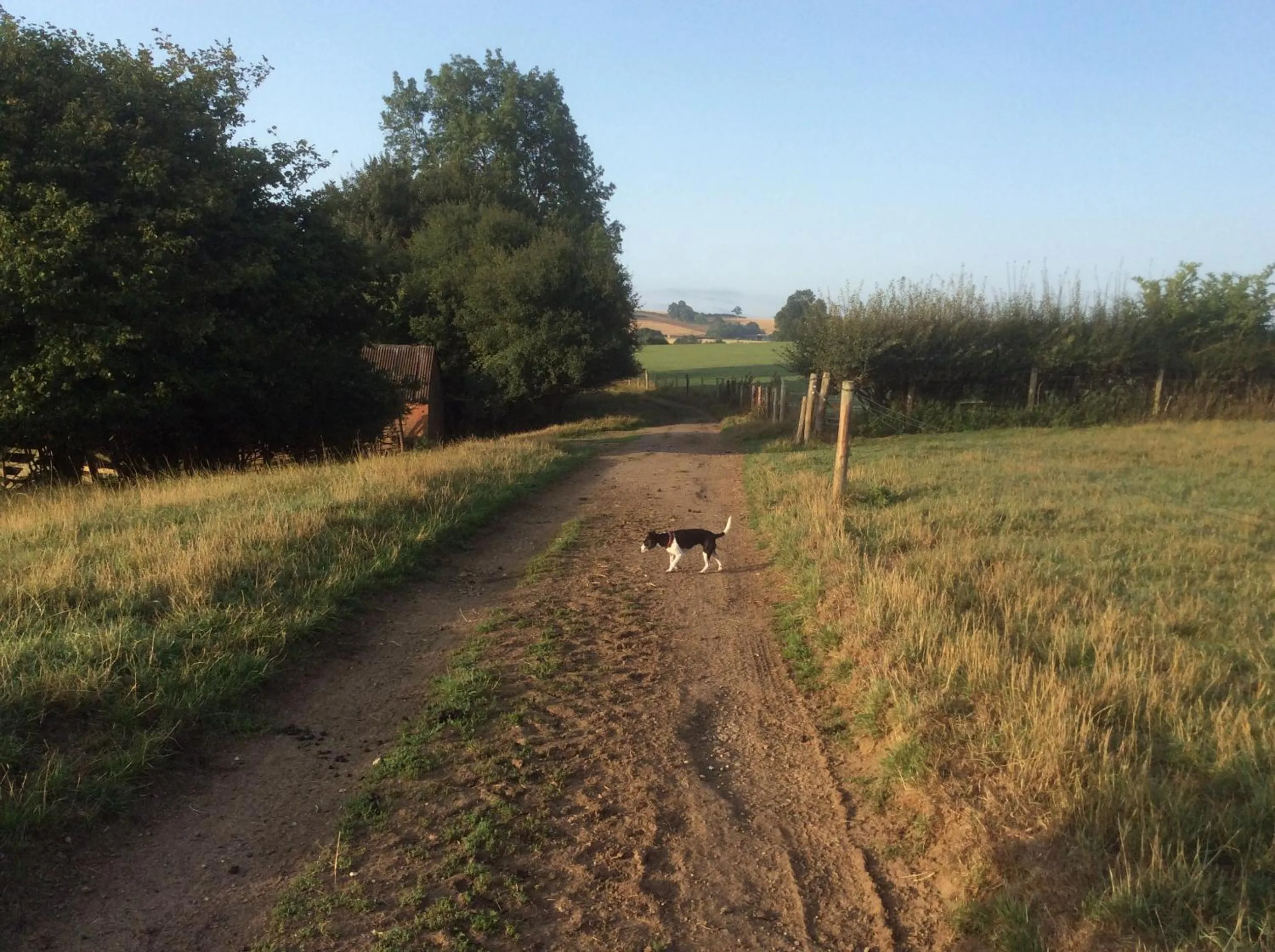 The Rear of the Plough,Everdon.