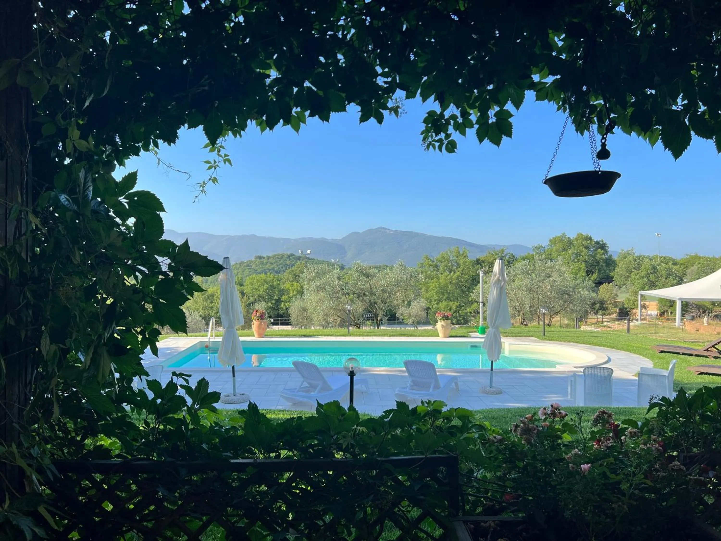 Swimming pool in The Forest House
