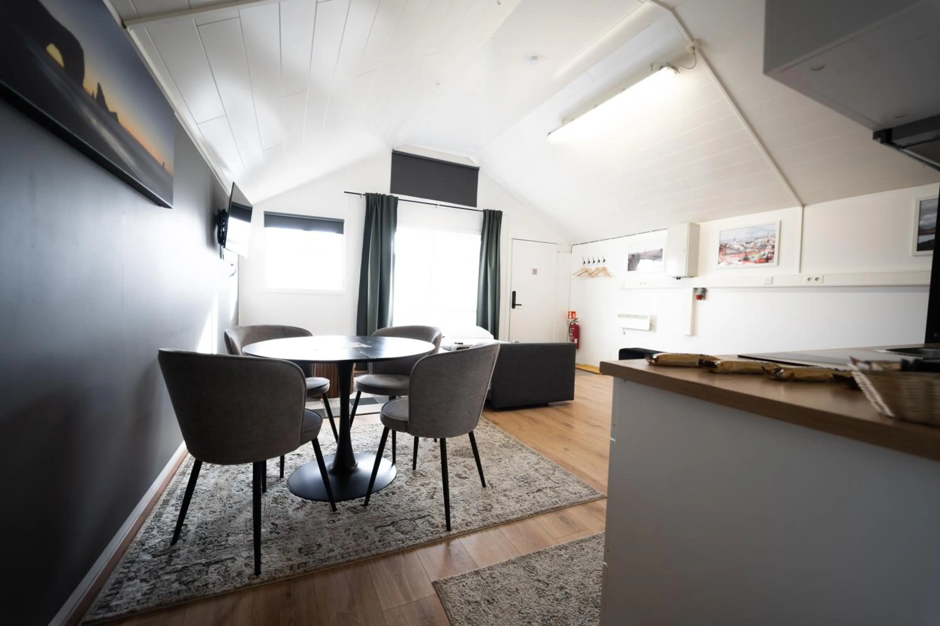 Kitchen or kitchenette in Vik Tröll Hotel