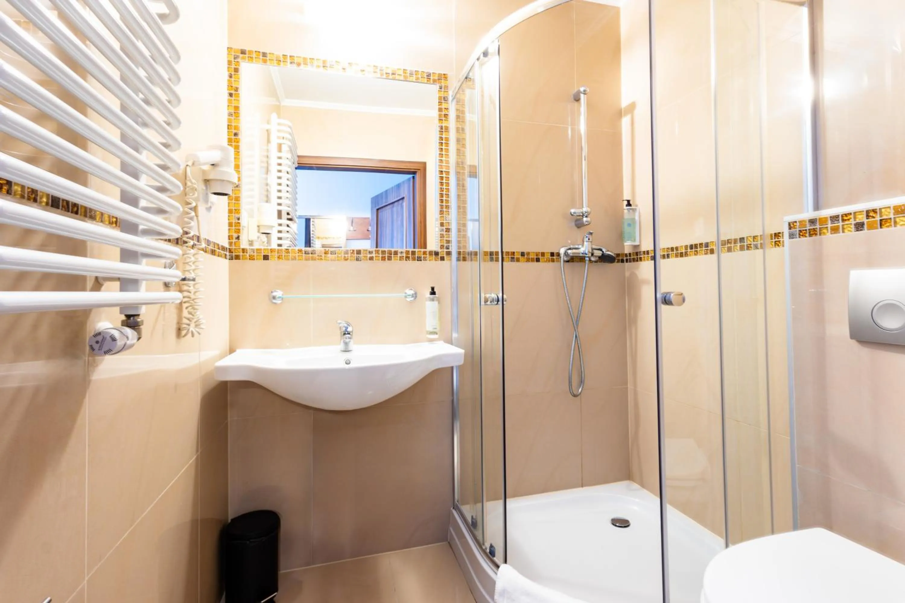 Shower in Noclegi Stadion Bed & Breakfast