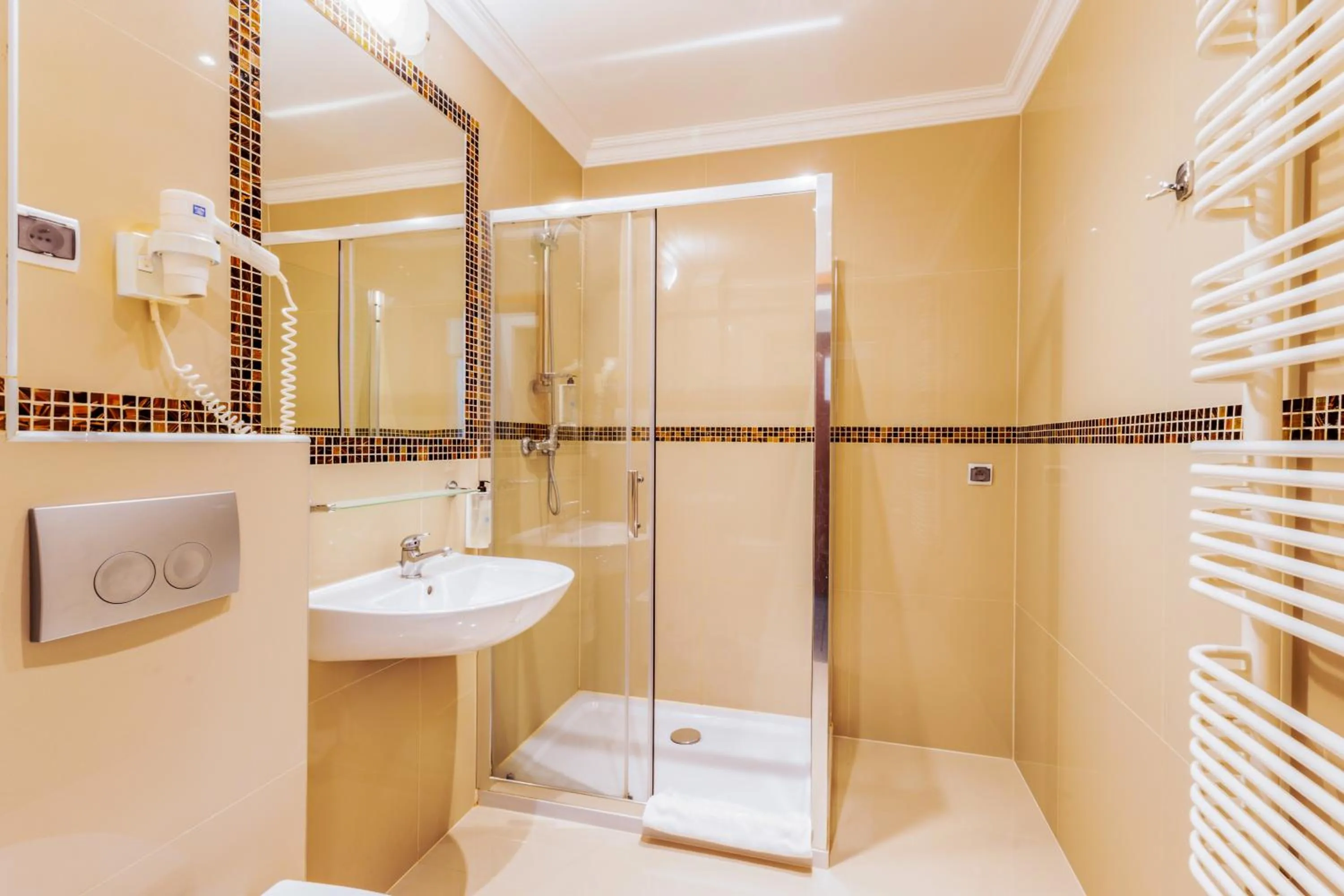 Shower in Noclegi Stadion Bed & Breakfast