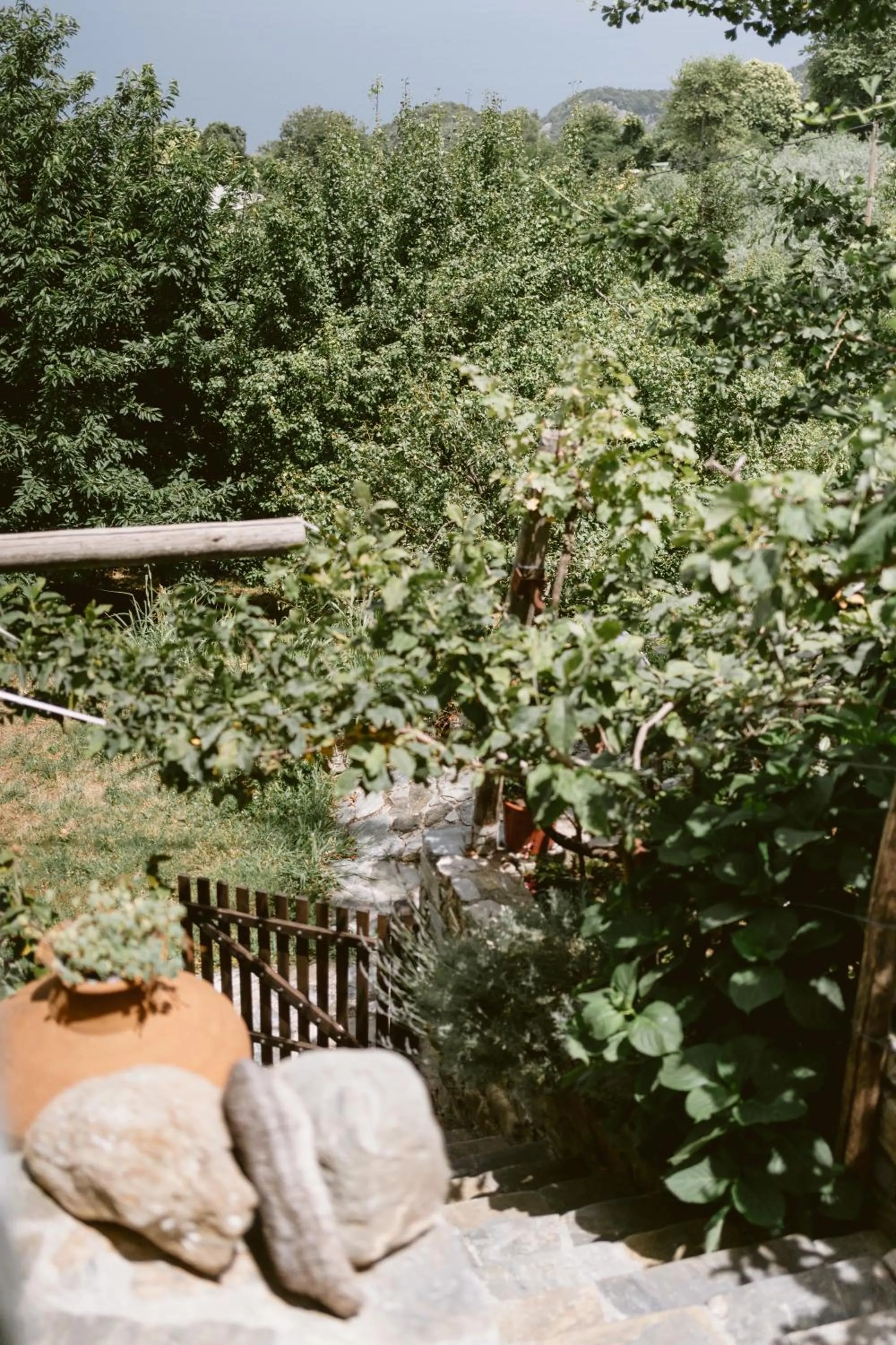 Garden view in Adama