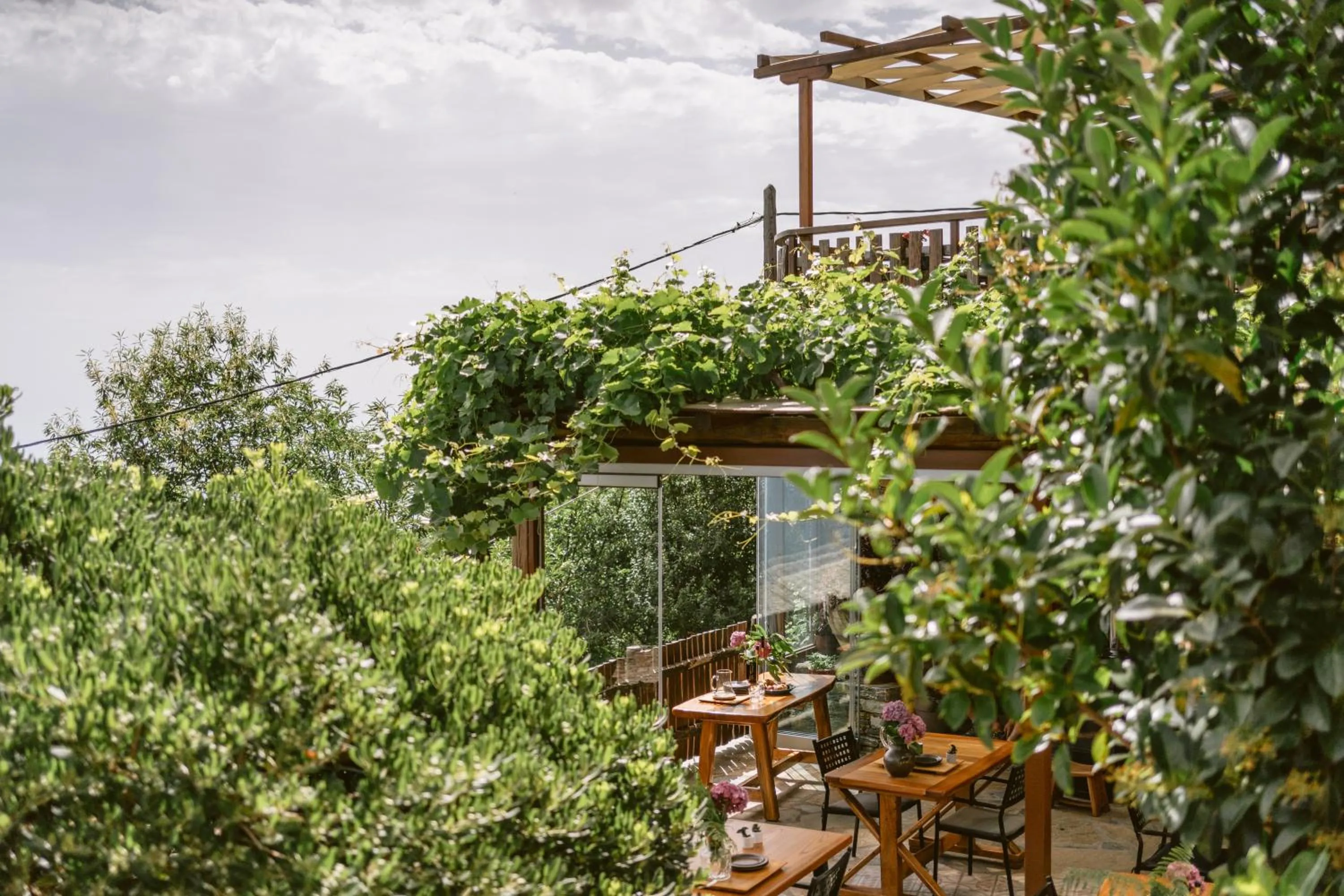 Garden in Adama