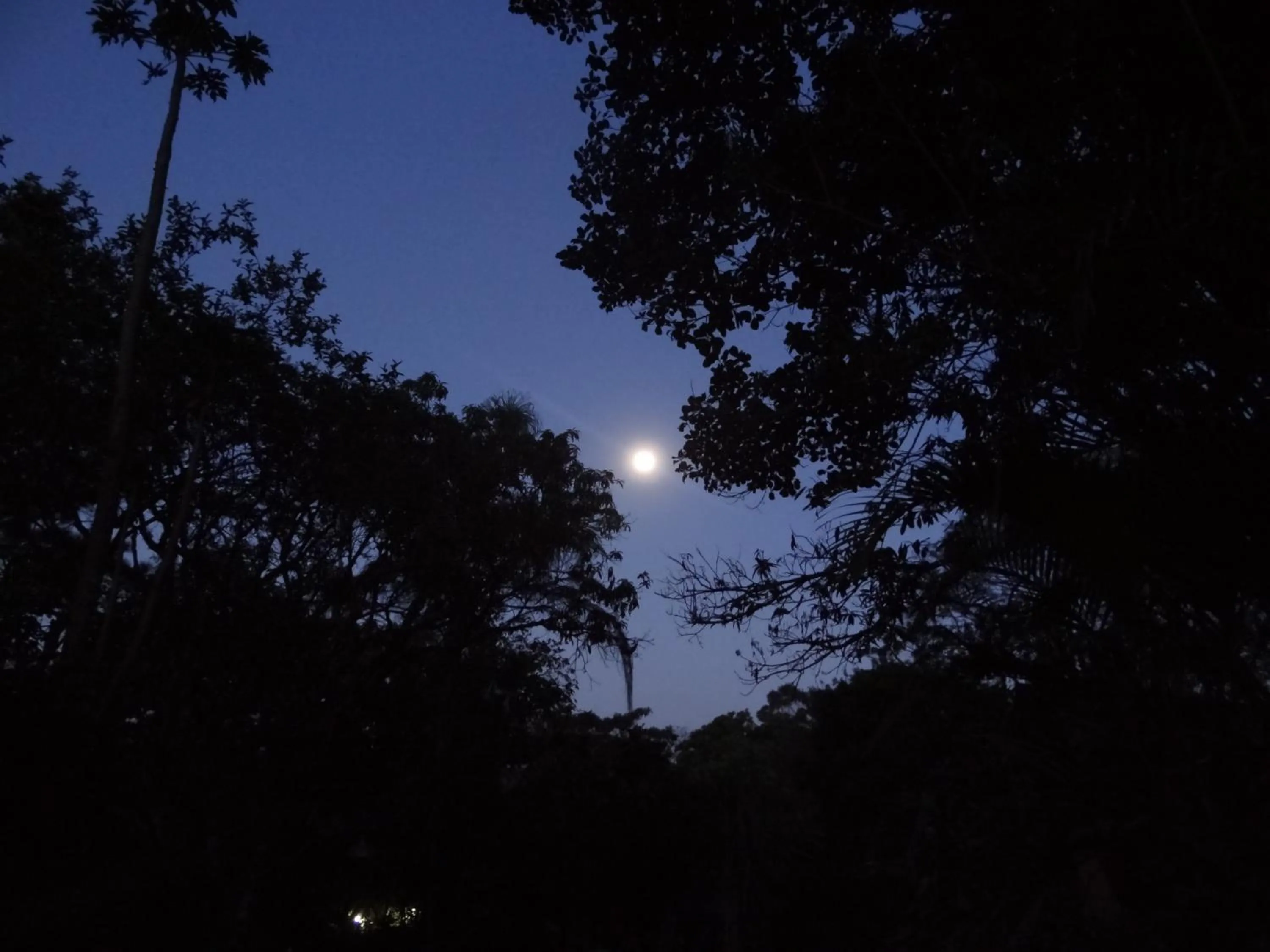 Night in Chalé Rancho Aratama