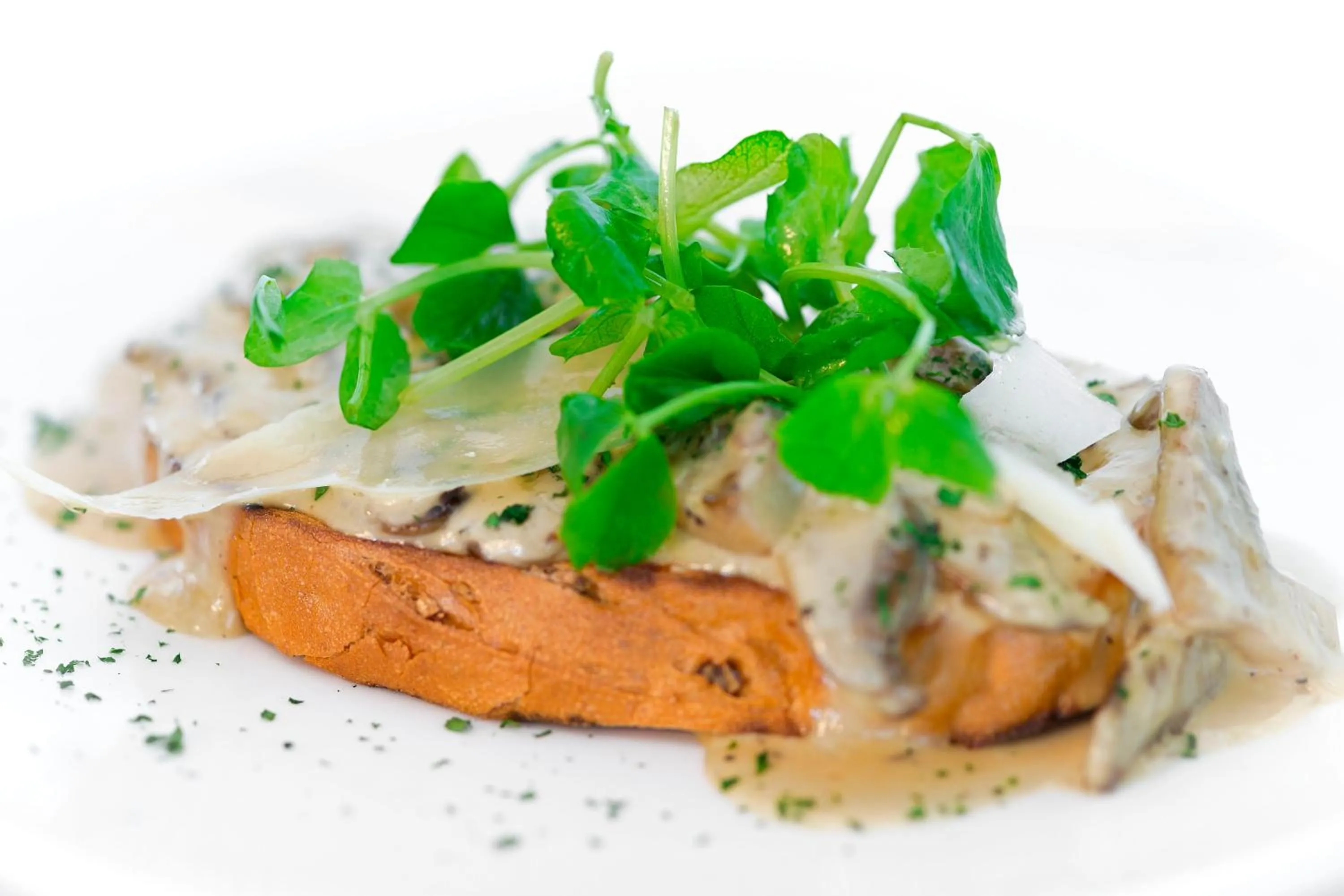 Food close-up in Wagon & Horses