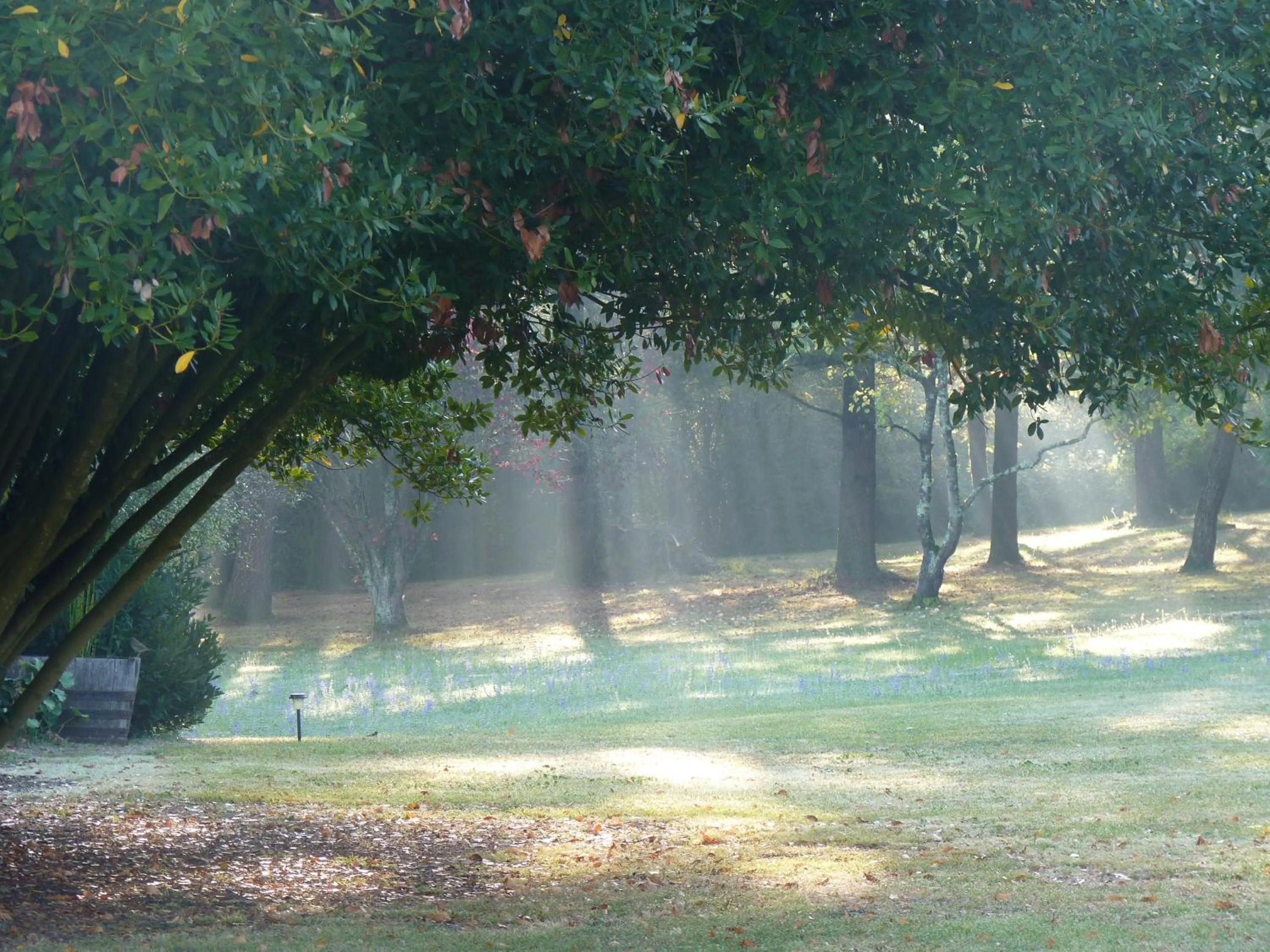 Domaine du Champ Fleuri