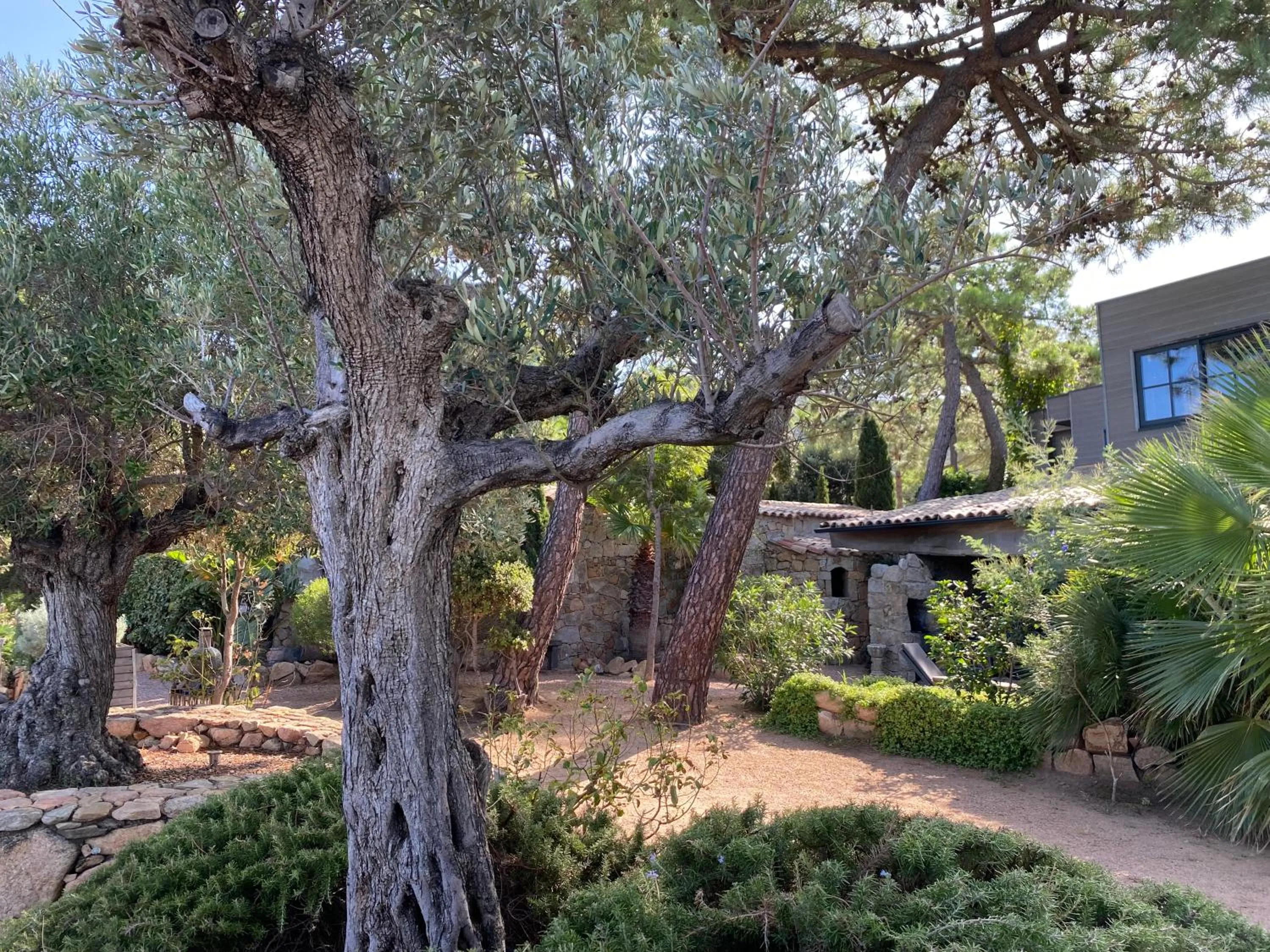 Property building in Maranatha, front de mer avec plage