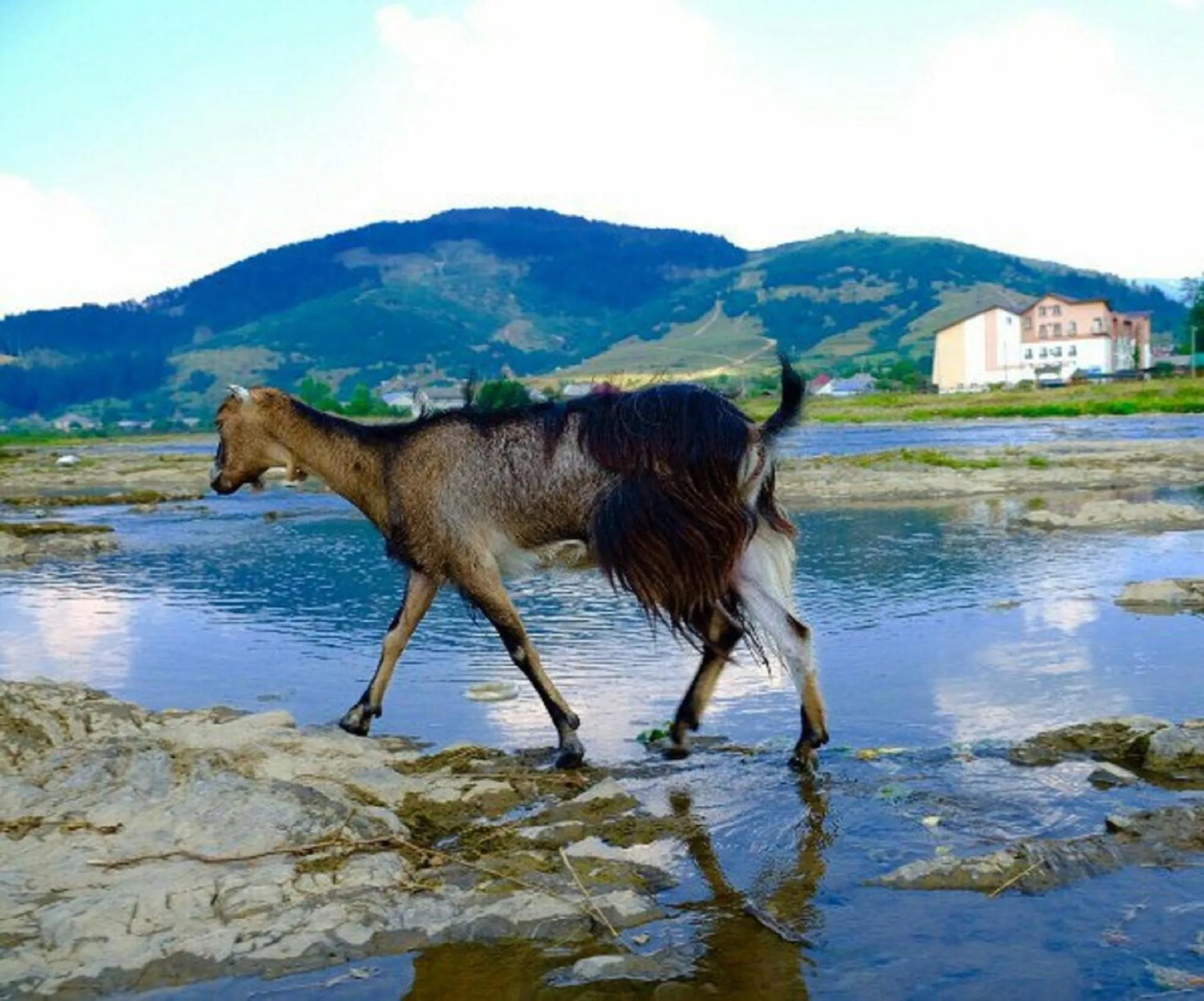 Nearby landmark in SPA Hotel Zhyva Voda