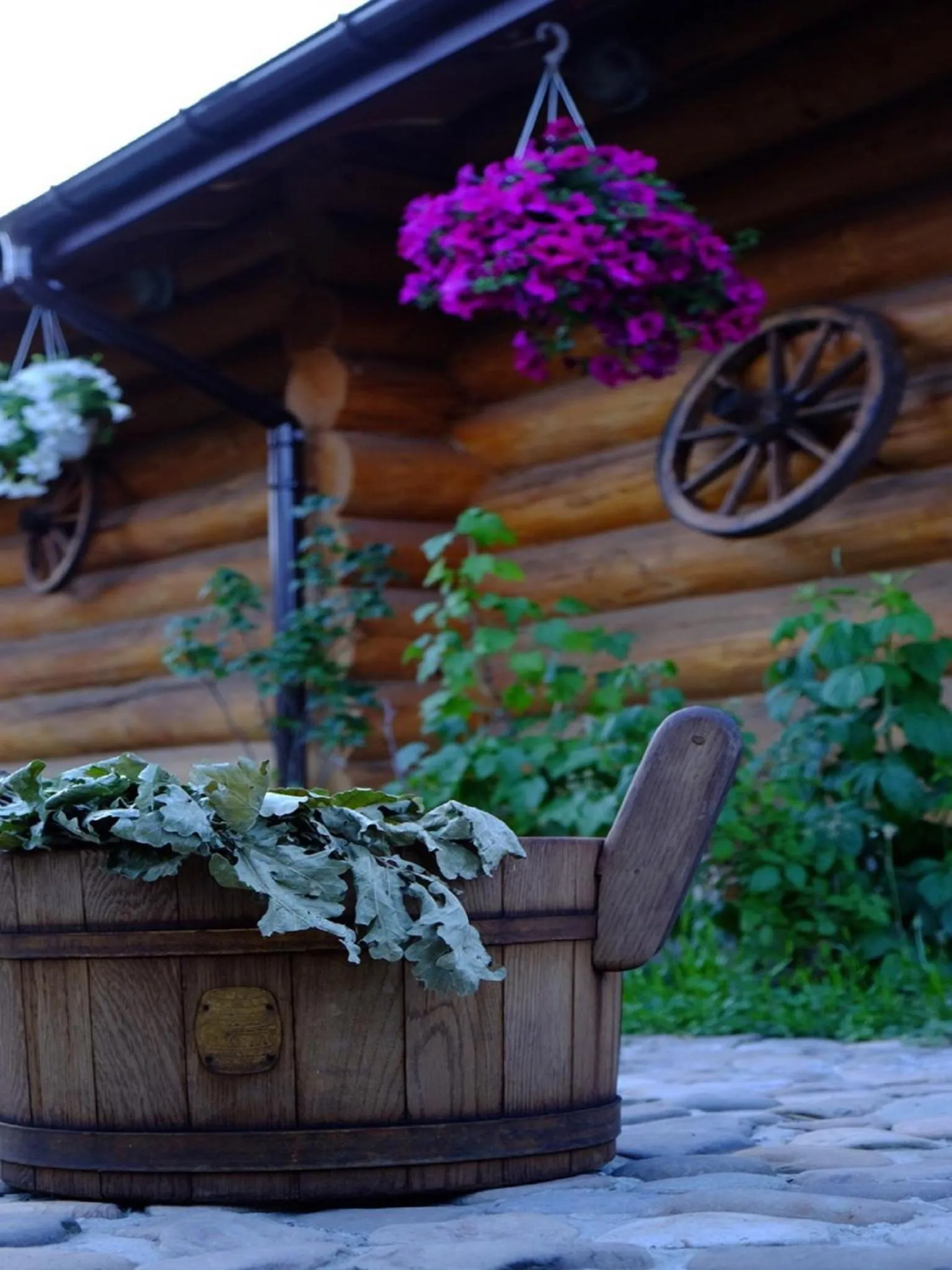 Activities in SPA Hotel Zhyva Voda