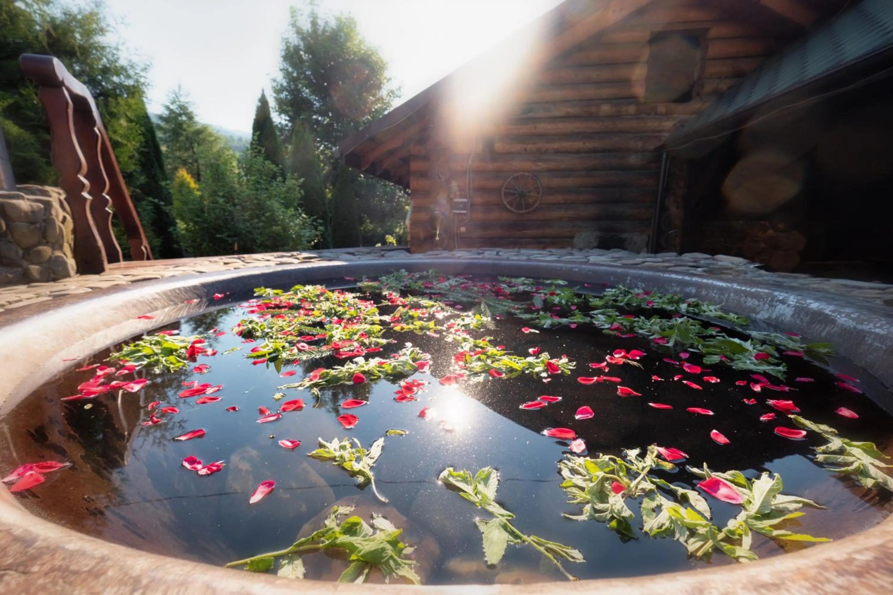 Spring in SPA Hotel Zhyva Voda