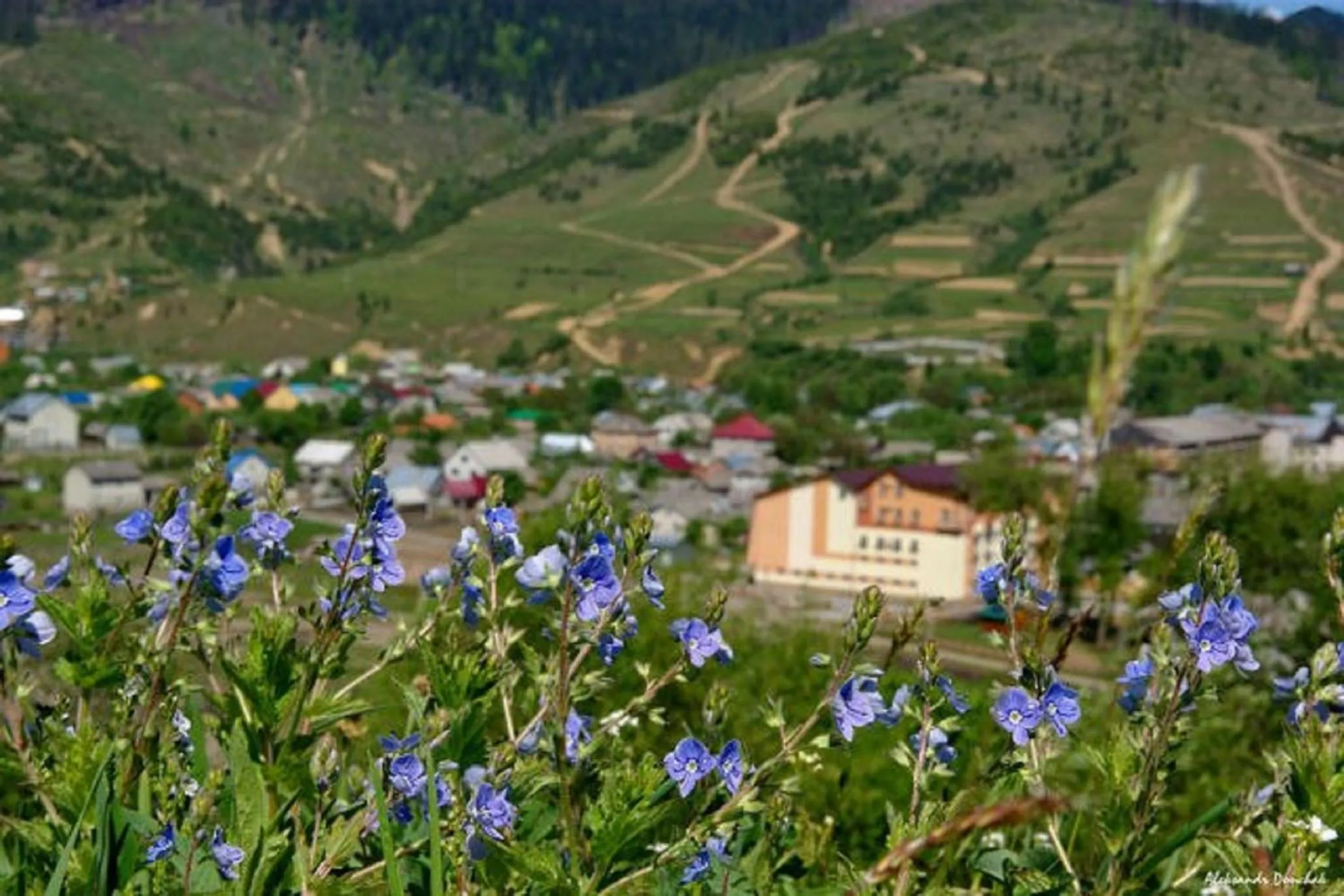 Neighbourhood in SPA Hotel Zhyva Voda