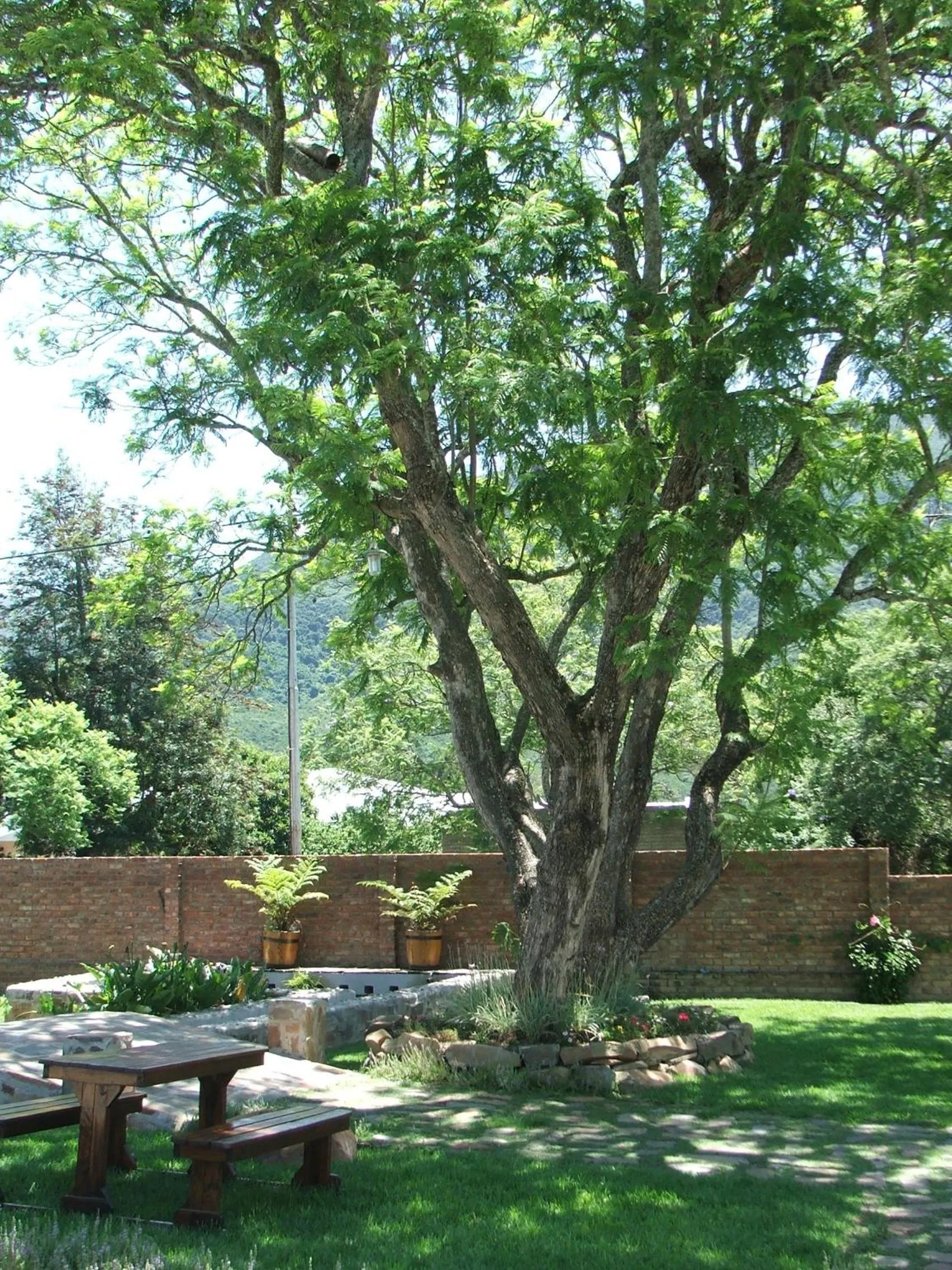 Summer in Angler and Antelope Guesthouse