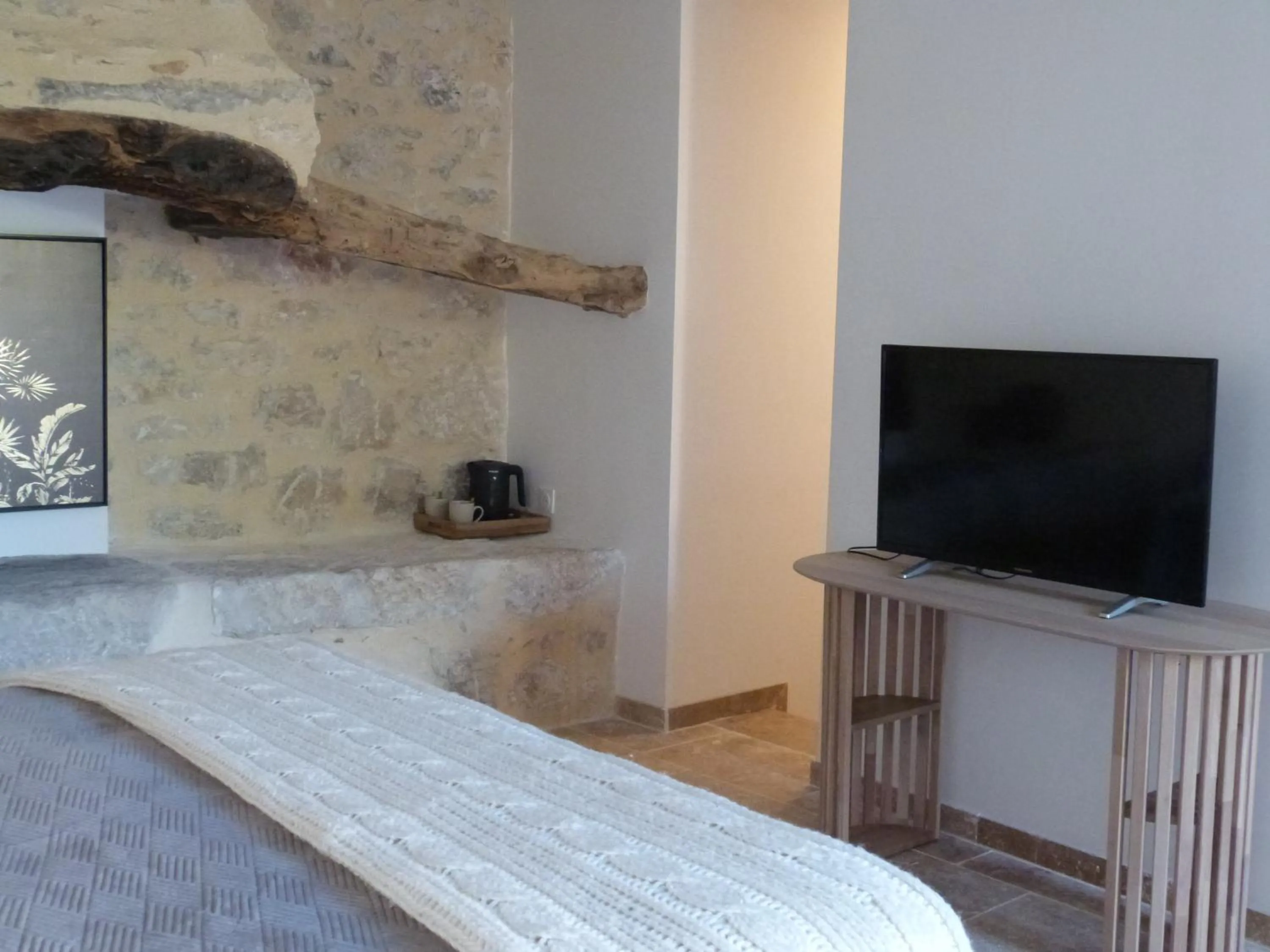 TV and multimedia in Chambres d'hotes Le Plassalou