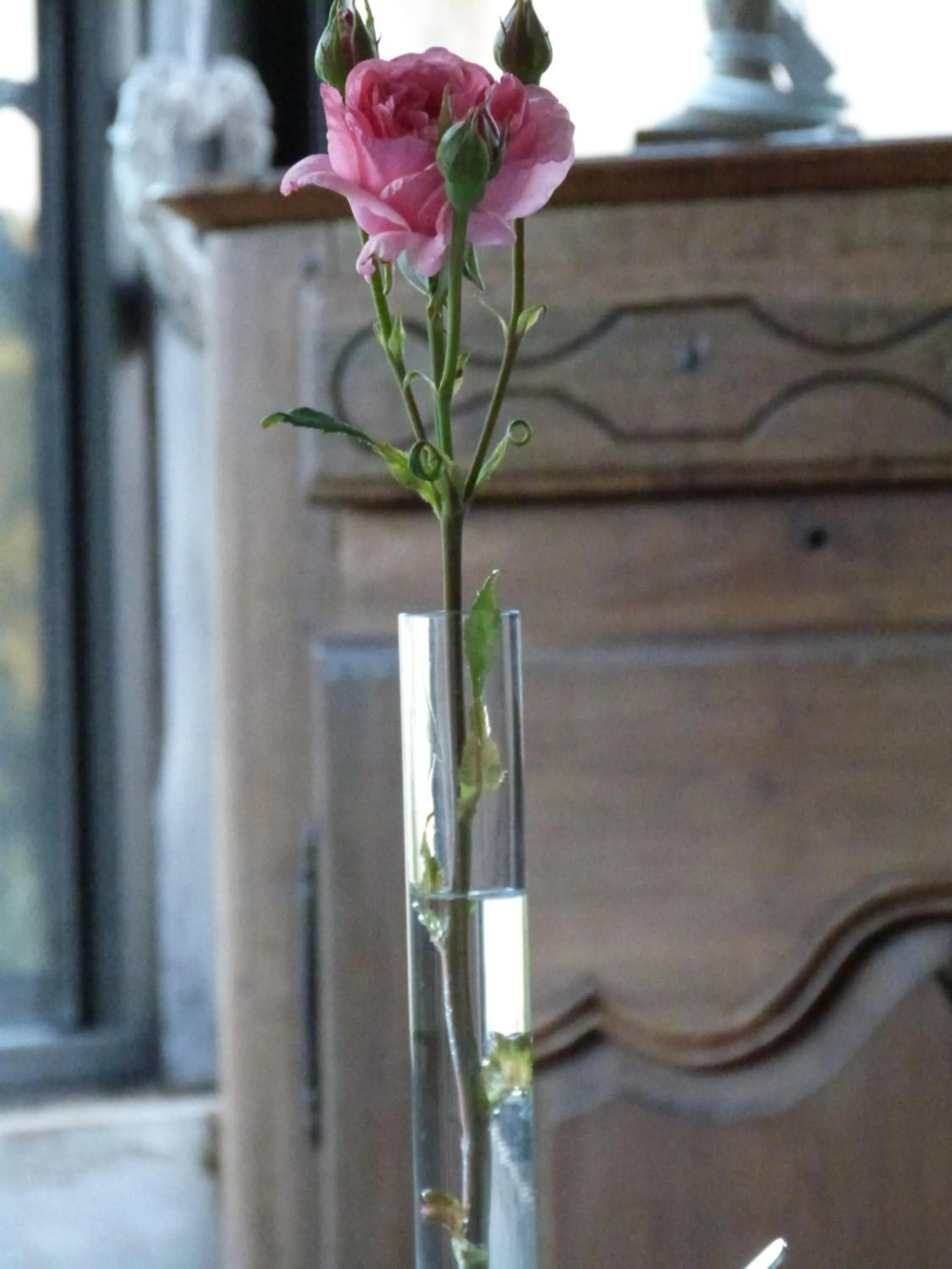 Decorative detail in Chambres d'hotes Le Plassalou