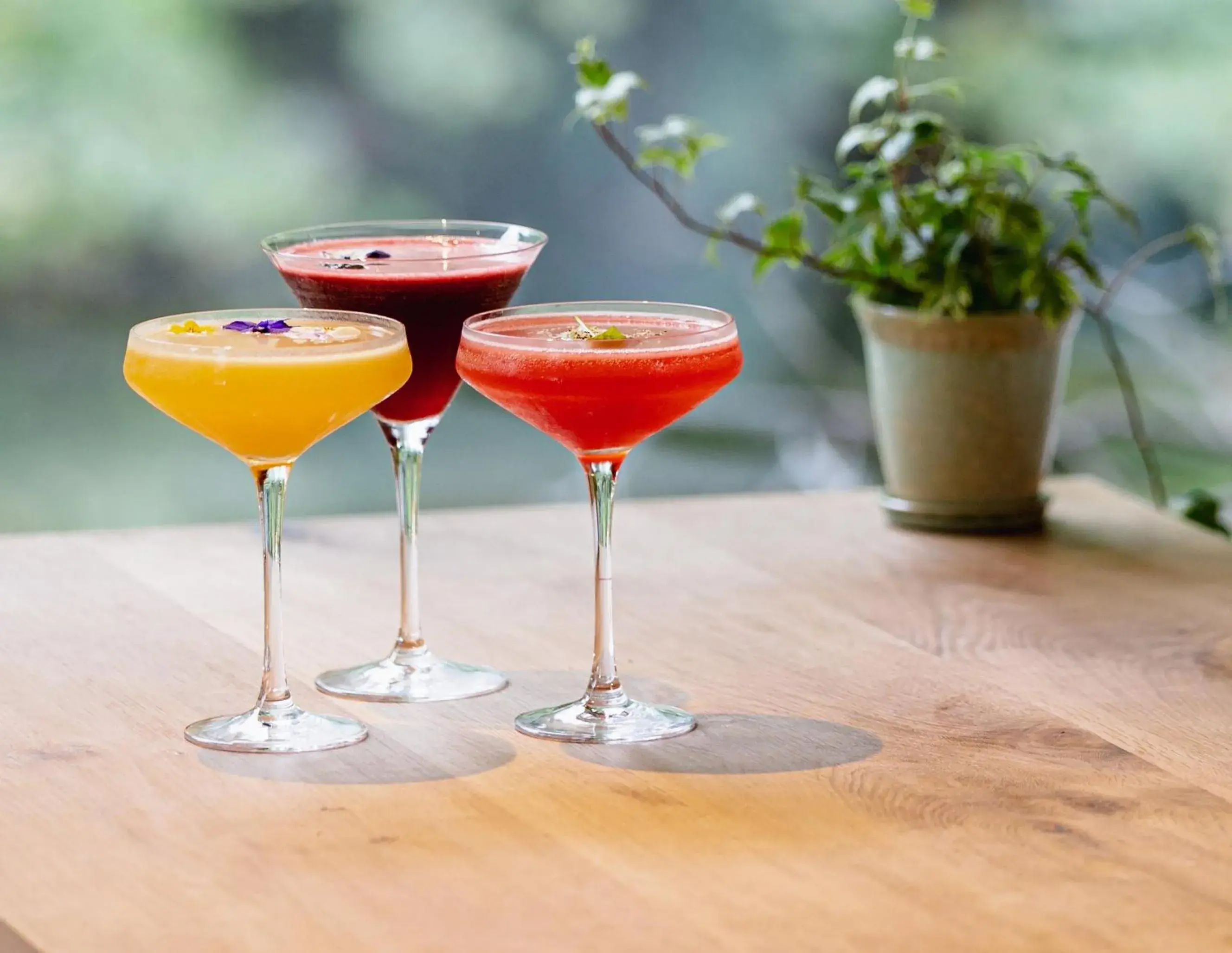 Lounge or bar in Castle House Hotel Lounge or bar in Castle House Hotel