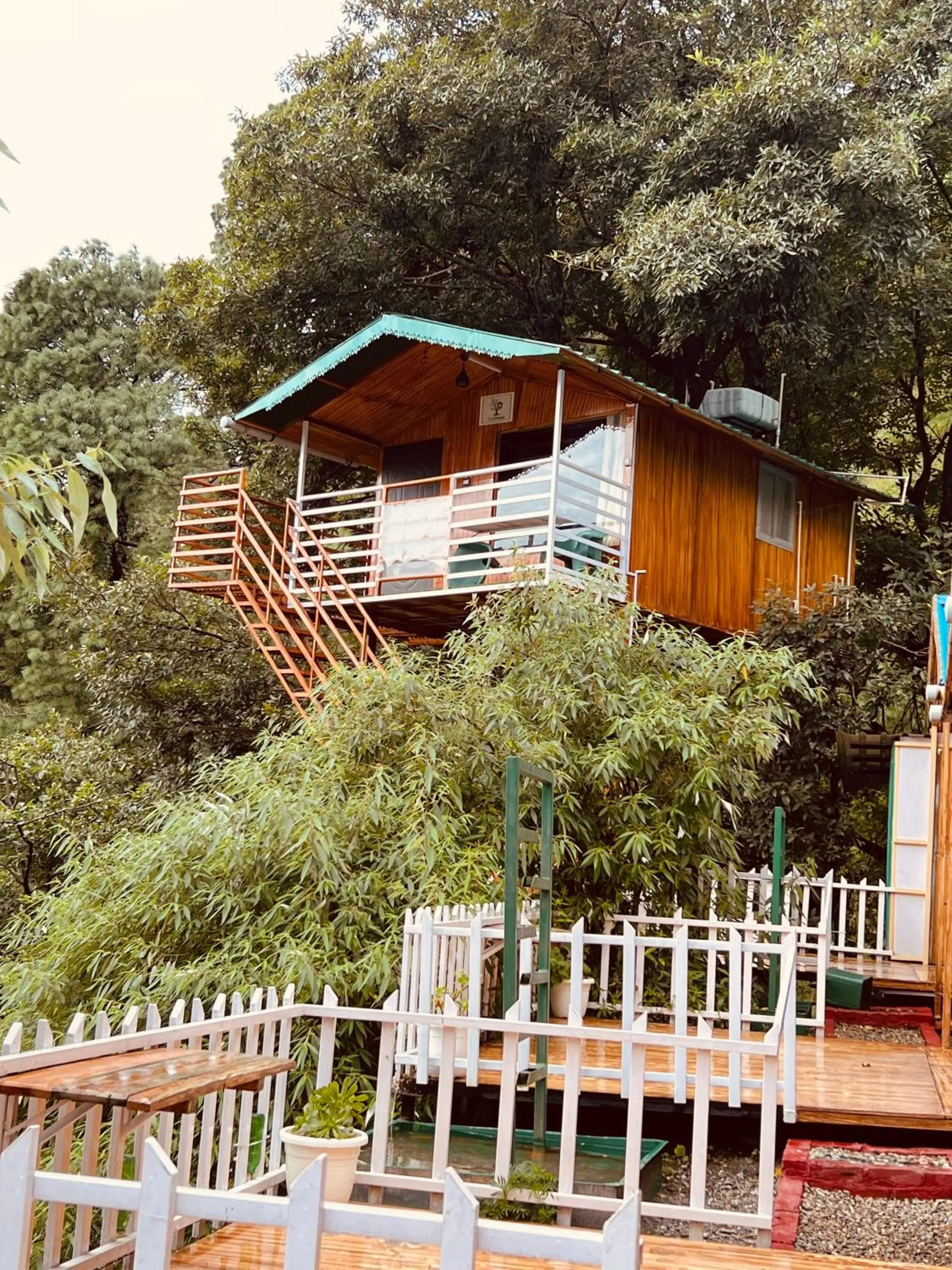 Day in The Cocoon Camps & nature Resorts