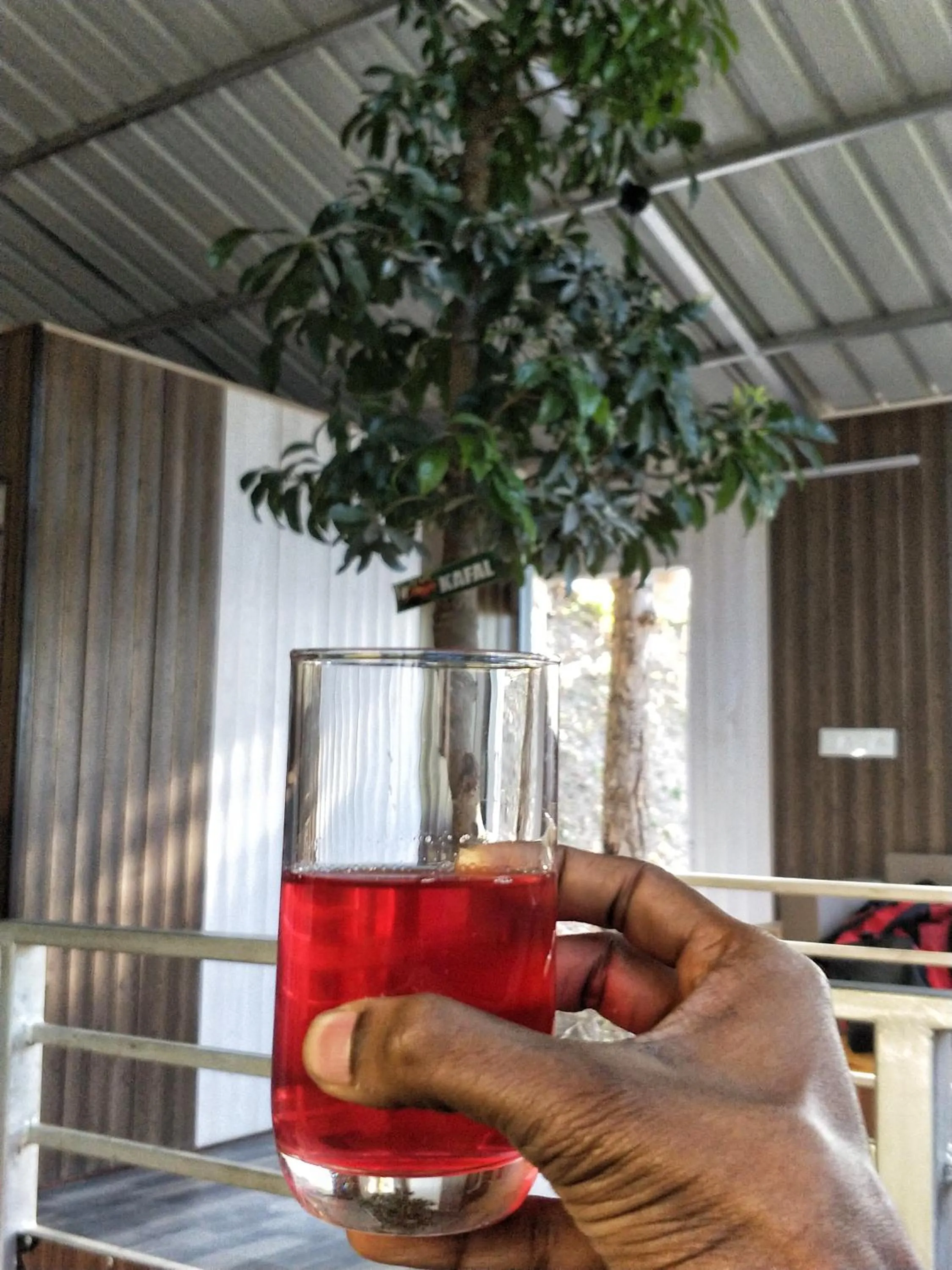 Drinks in The Cocoon Camps & nature Resorts