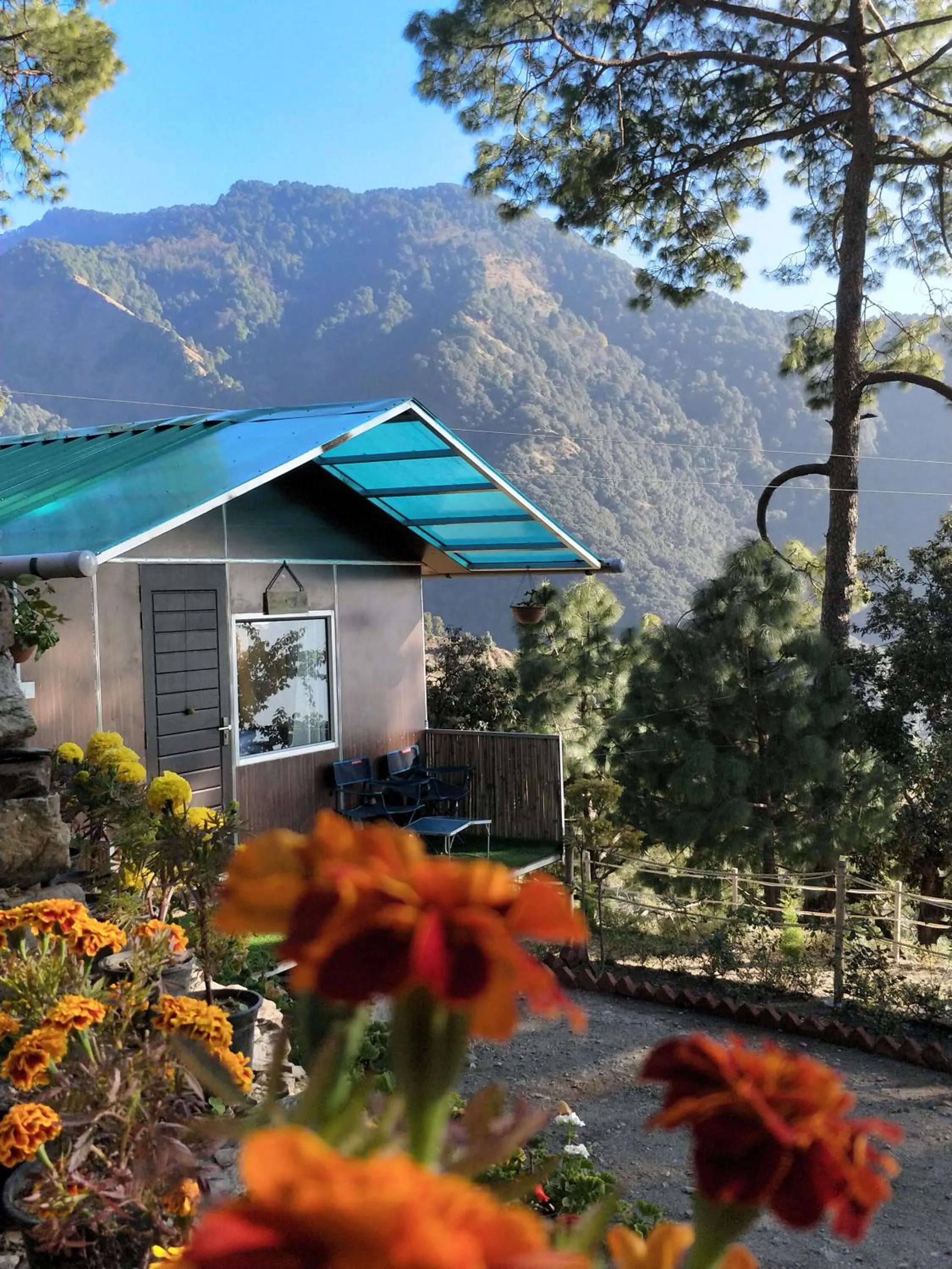 Property building in The Cocoon Camps & nature Resorts