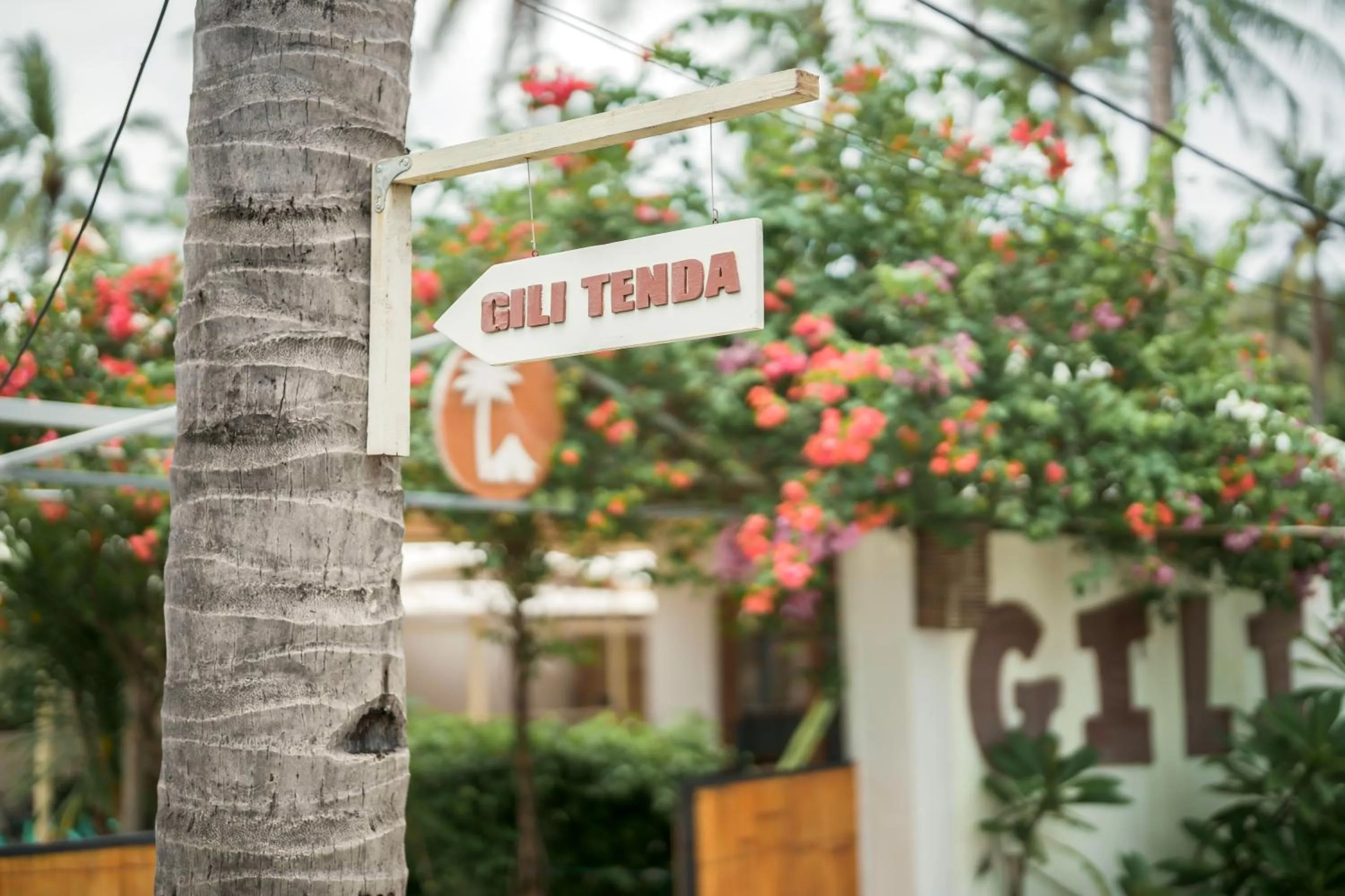 Logo/Certificate/Sign in Gili Tenda