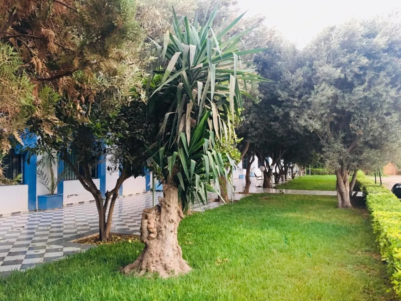 Hotel Ribis