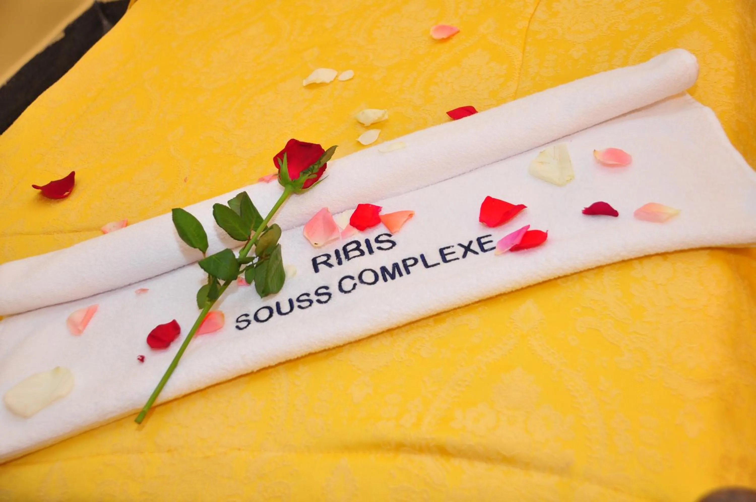 Hotel Ribis