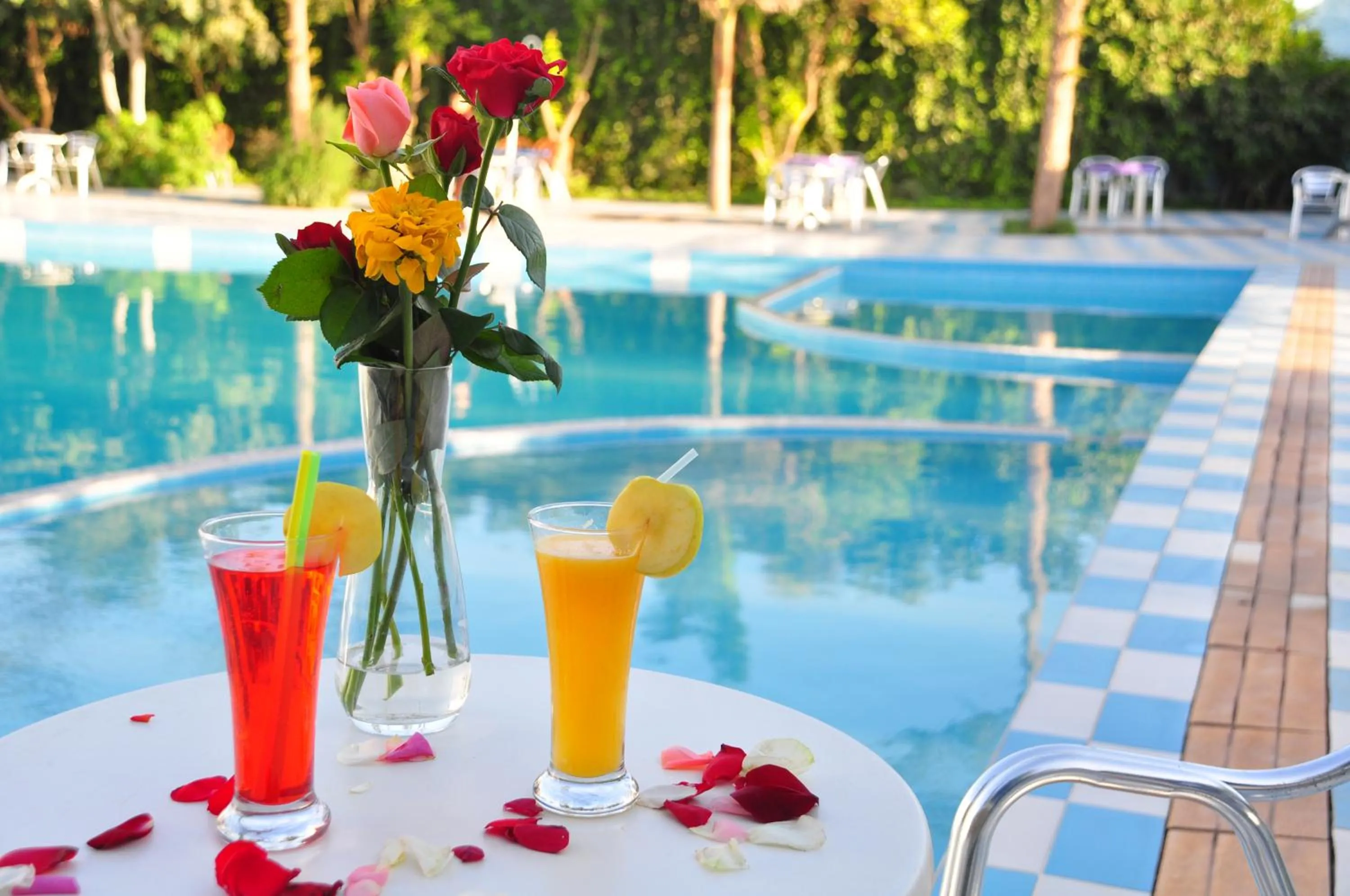 Hotel Ribis
