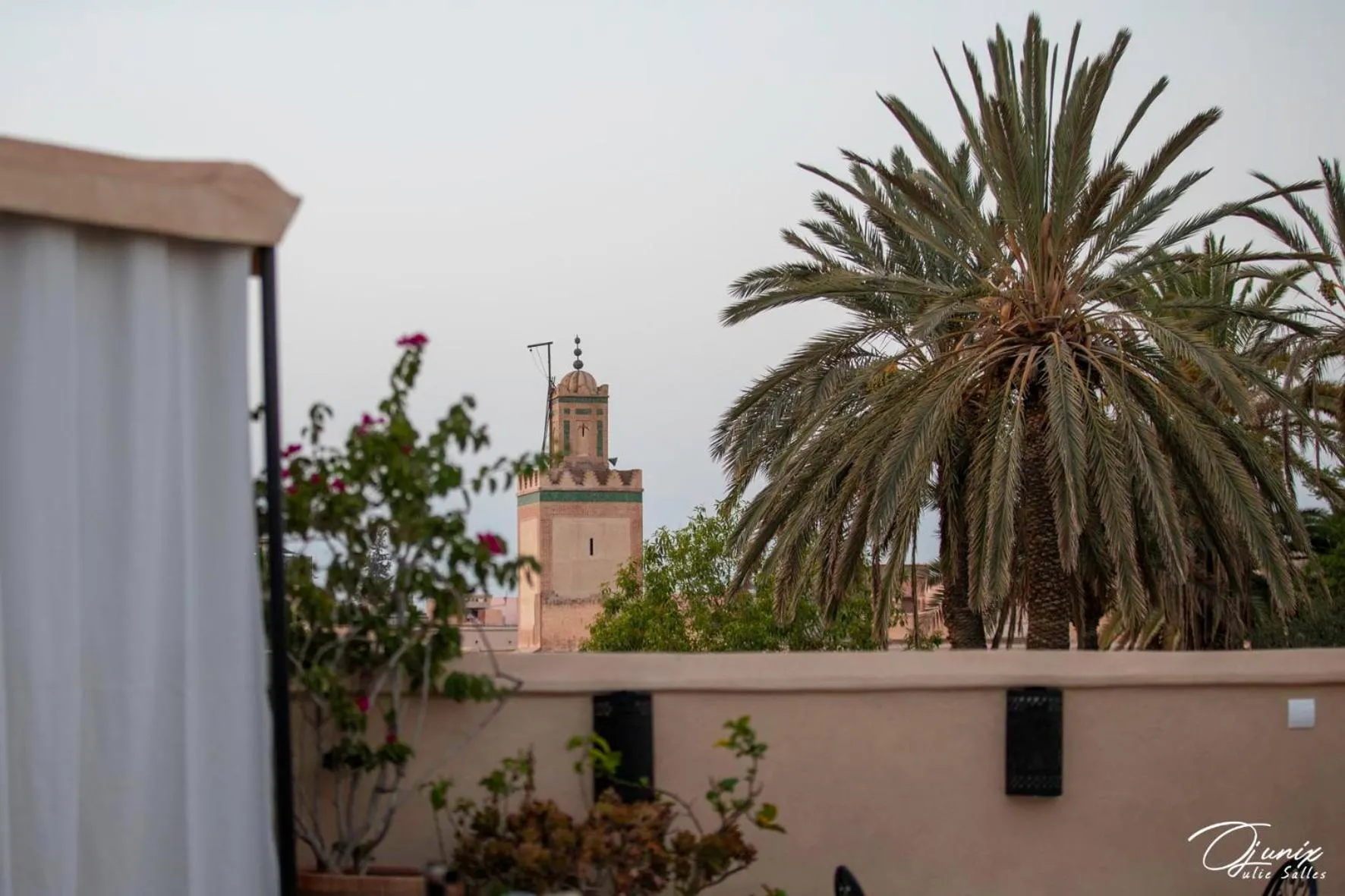 Day in Riad Zoraida