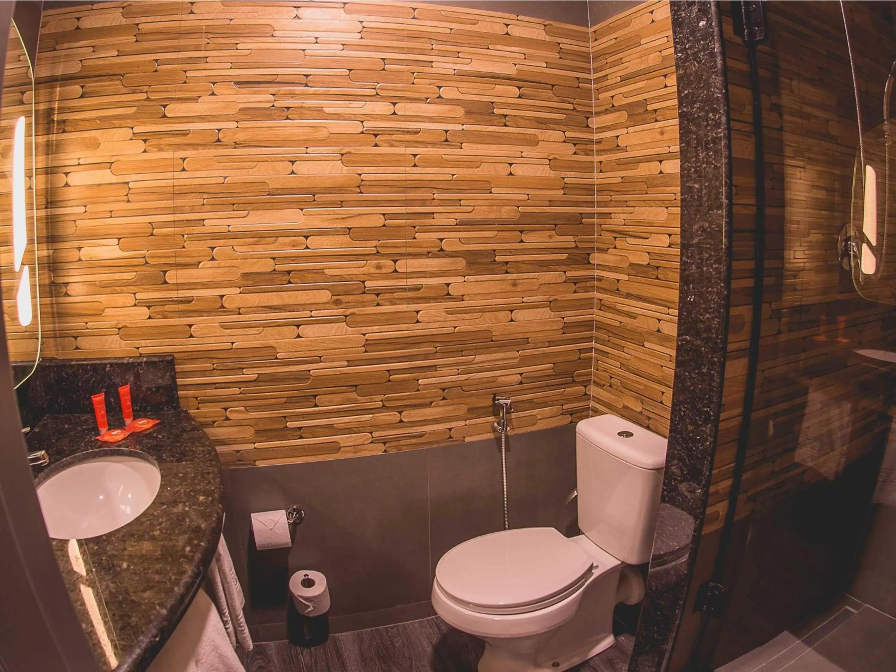 Bedroom in ibis Carlos Barbosa Bedroom in ibis Carlos Barbosa