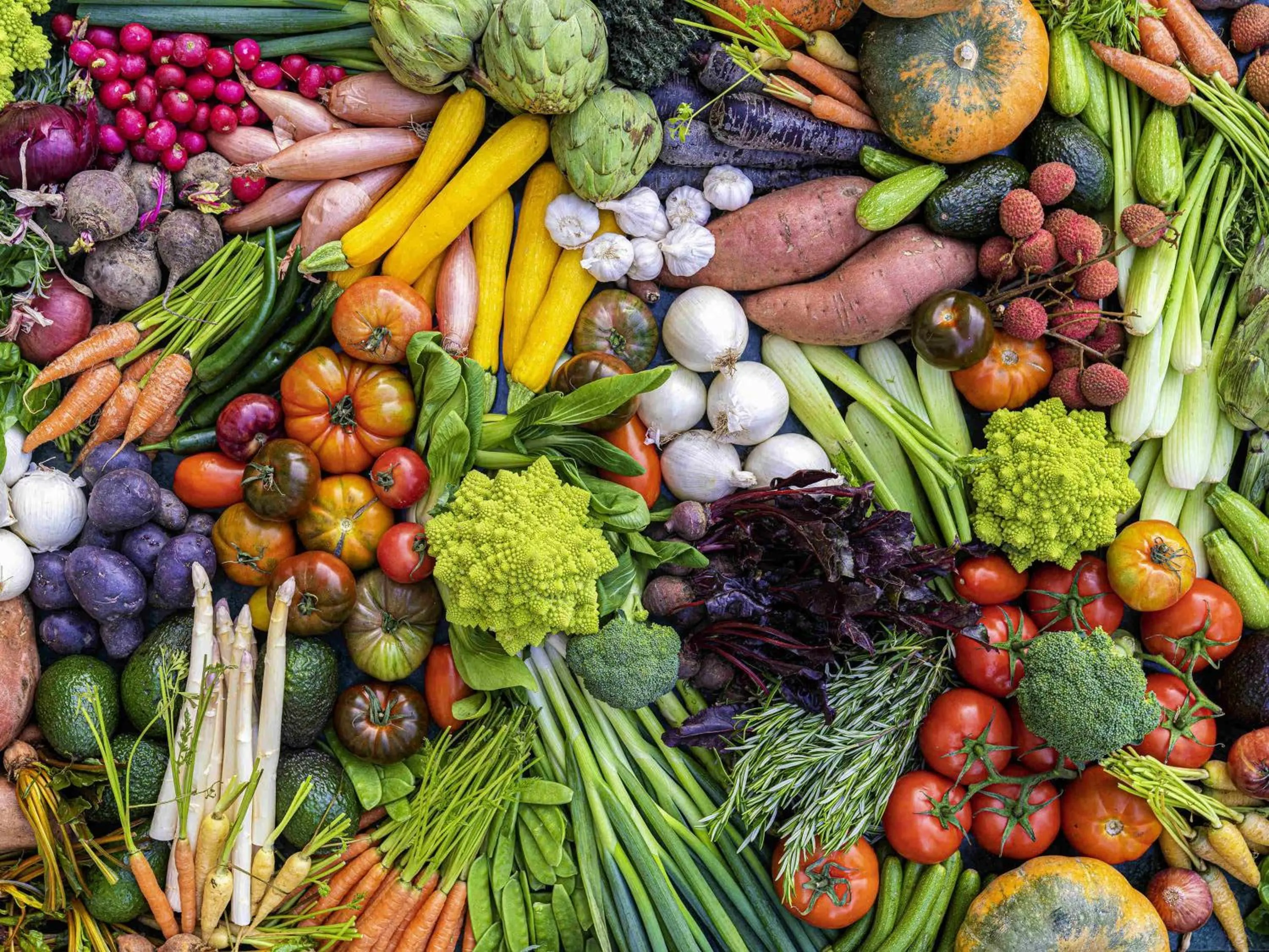 Restaurant/places to eat in Rixos Premium Saadiyat Island - All Inclusive