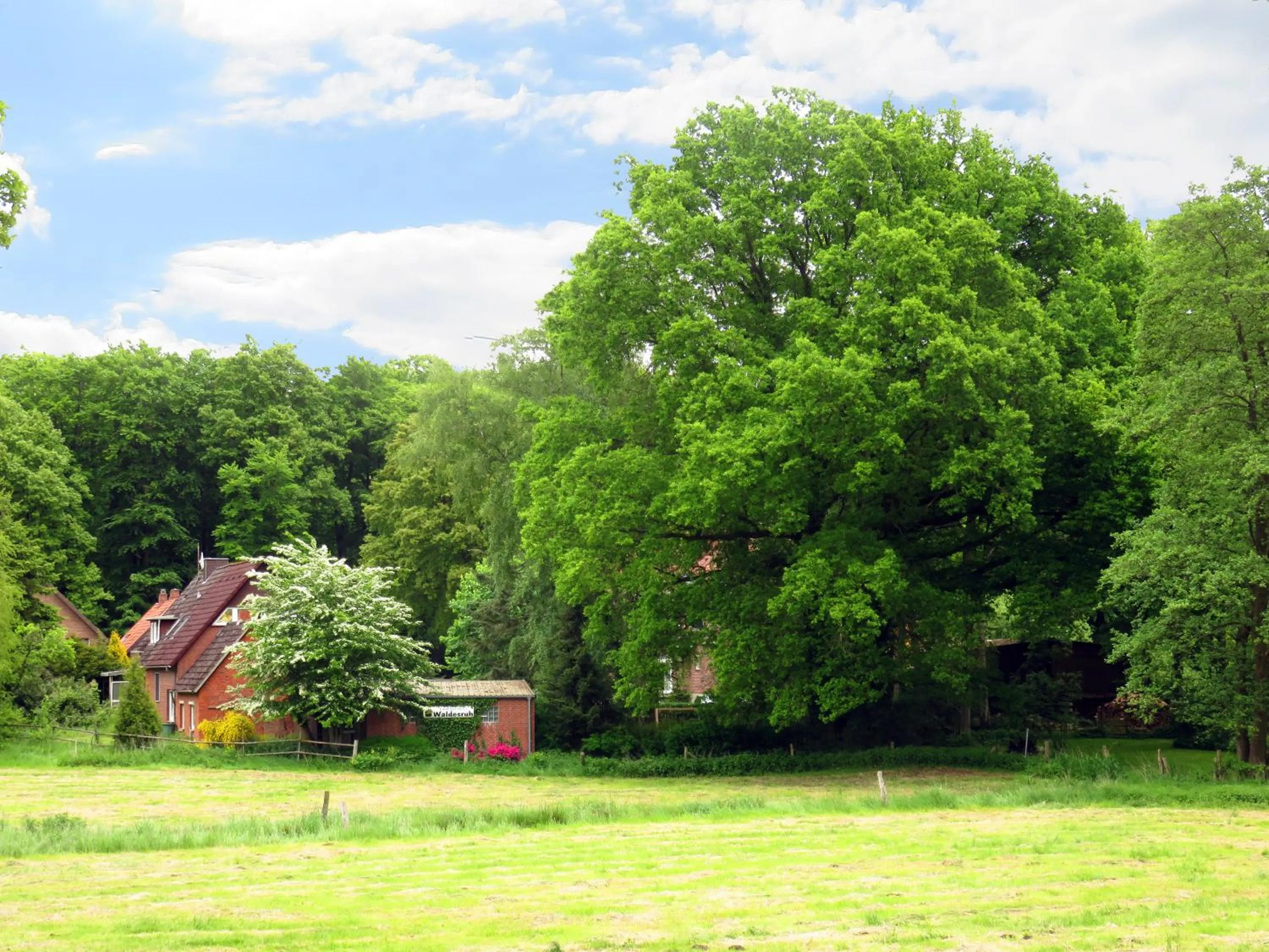 Double Room - single occupancy in Land-gut-Hotel Waldesruh