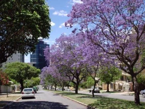 Area and facilities in Mountway Holiday Apartments