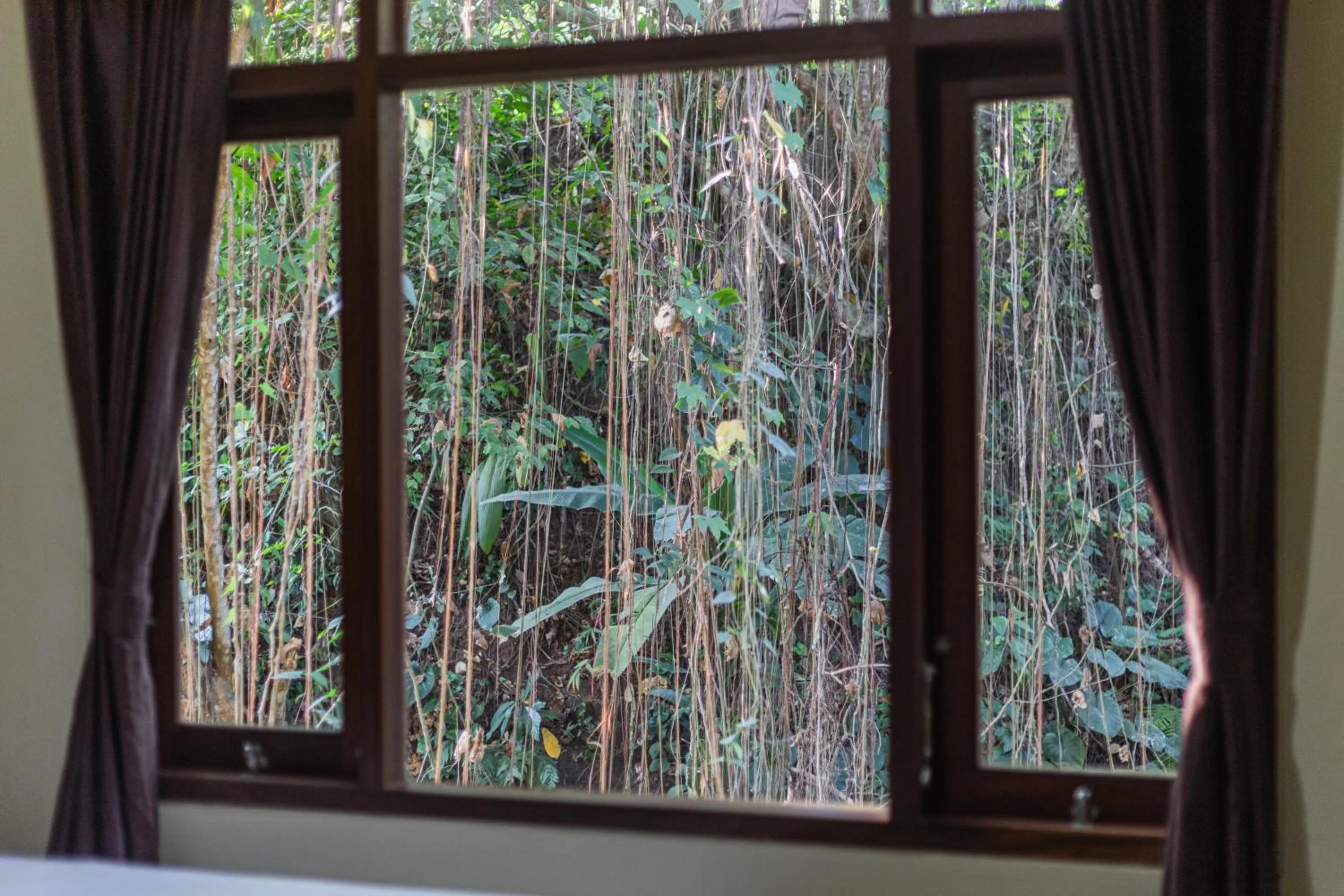View (from property/room) in Alam Pangkung Ubud