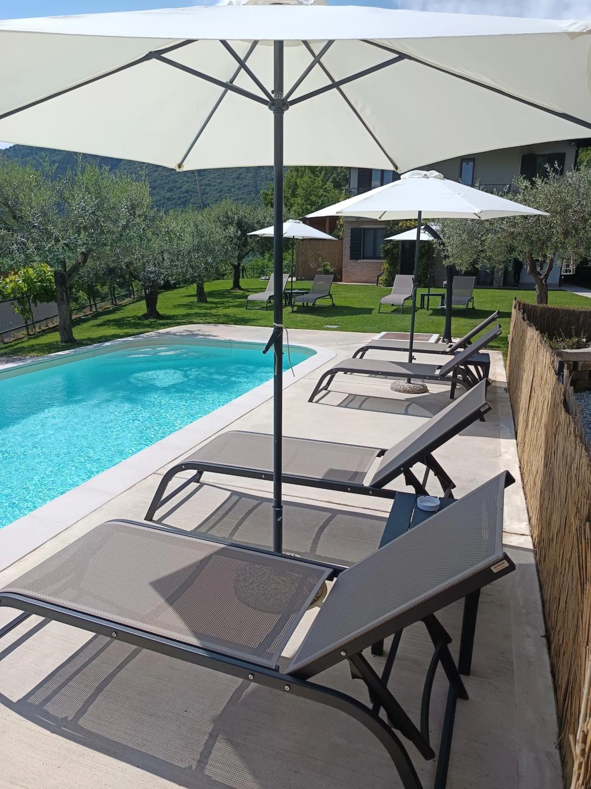 Swimming pool in B&B Al Sentiero