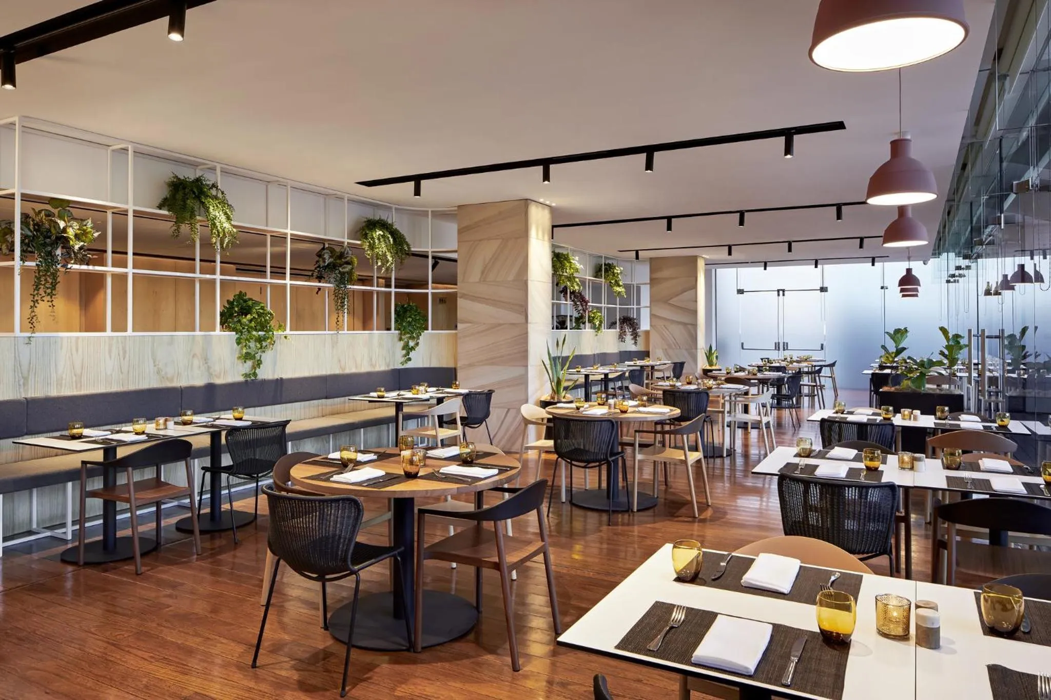 Restaurant/places to eat in Courtyard by Marriott Sydney-North Ryde