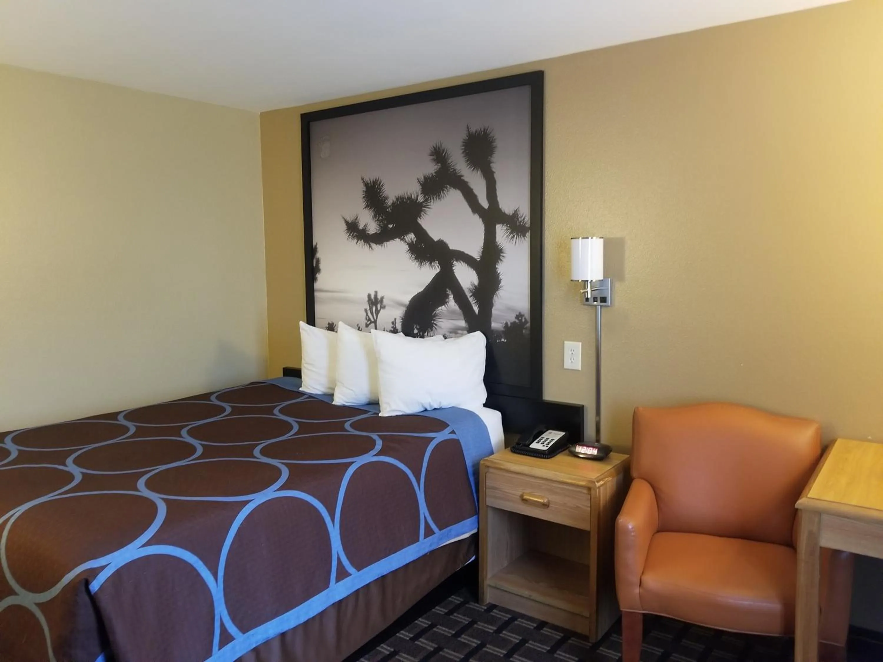 Day, Bed in Super 8 by Wyndham Carson City Lake Tahoe