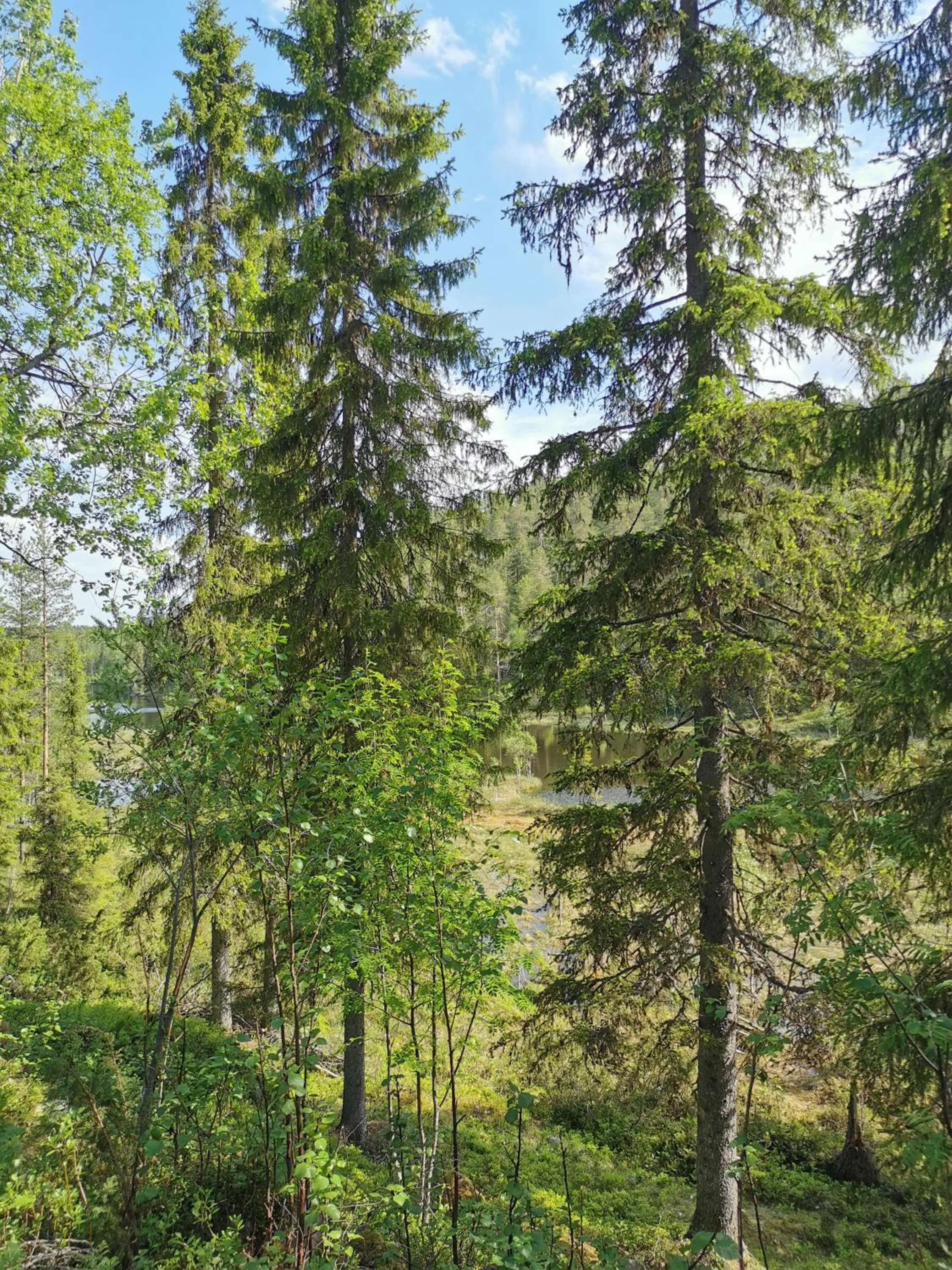 Salmikangas G4