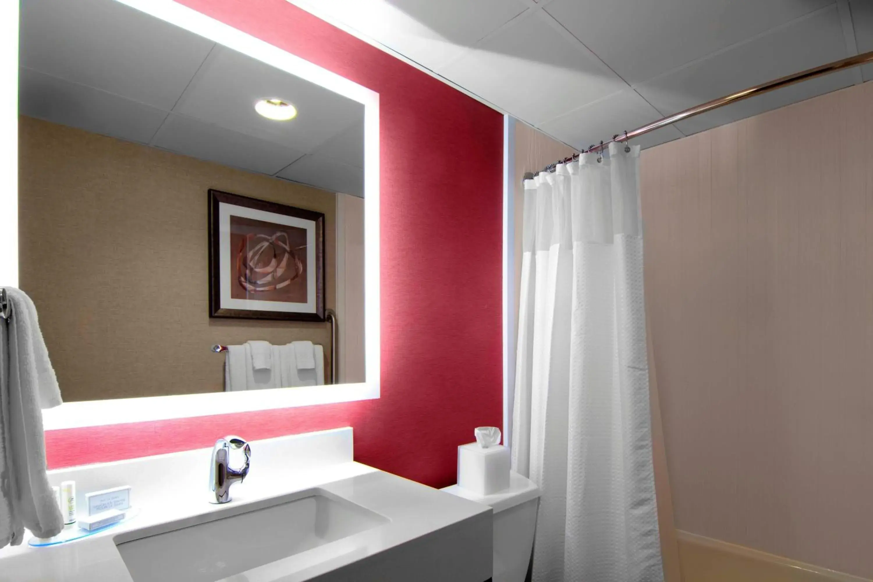 One-Bedroom King Suite with Sofa Bed and Roll-in Shower - Mobility and Hearing Accessible in Courtyard by Marriott St. Cloud One-Bedroom King Suite with Sofa Bed and Roll-in Shower - Mobility and Hearing Accessible in Courtyard by Marriott St. Cloud