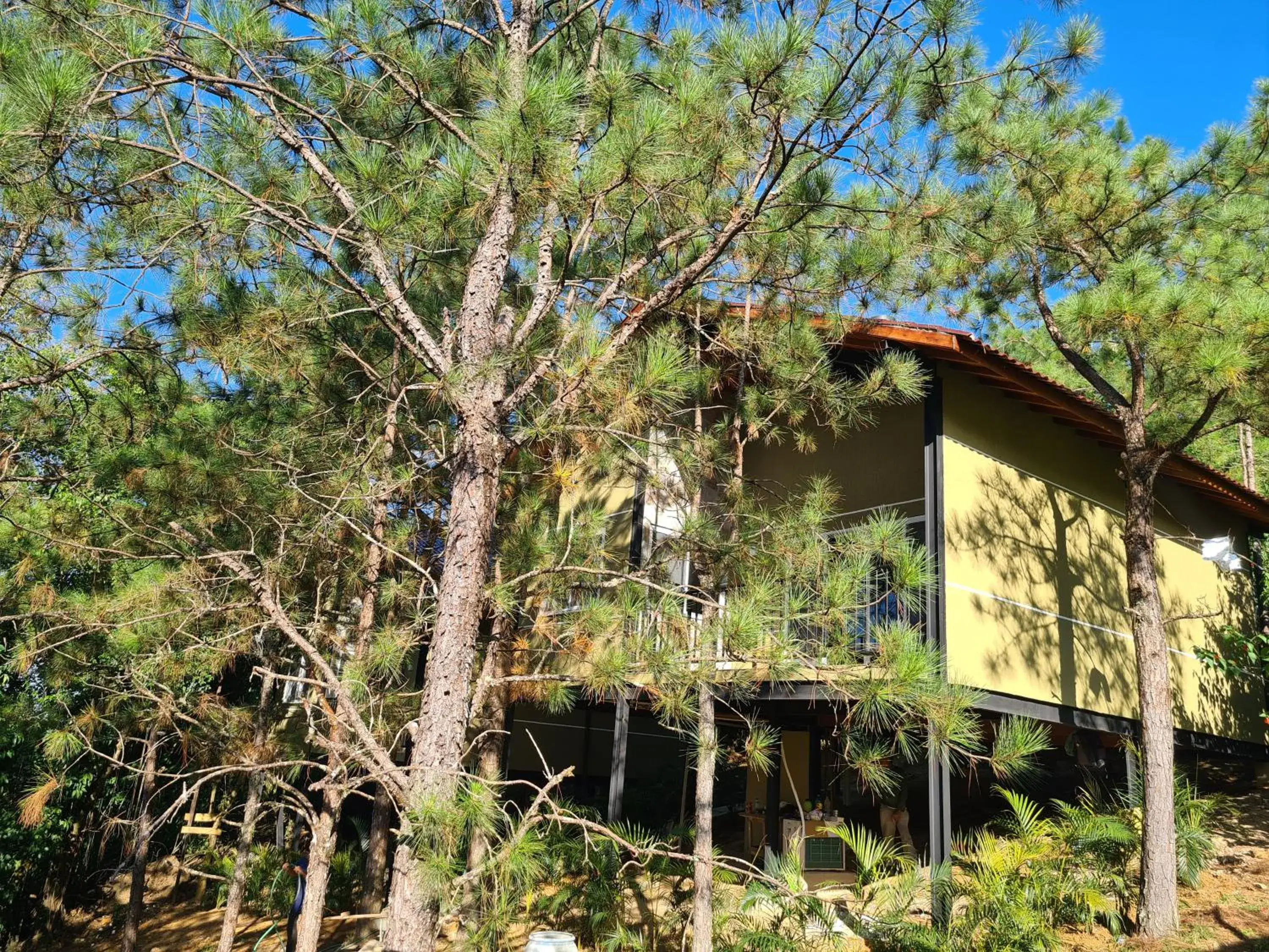 Superior Bungalow in Pousada Serra da Índia Superior Bungalow in Pousada Serra da Índia