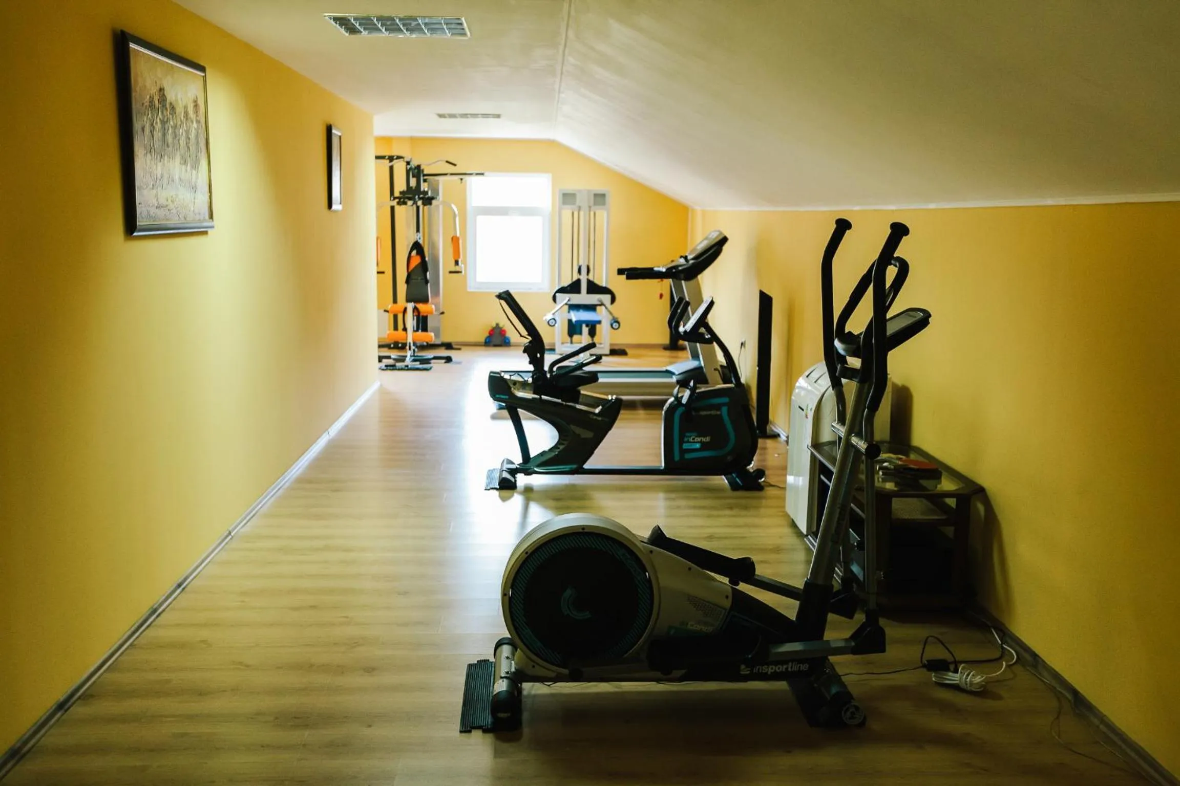 Fitness centre/facilities in Hotel Dobsi