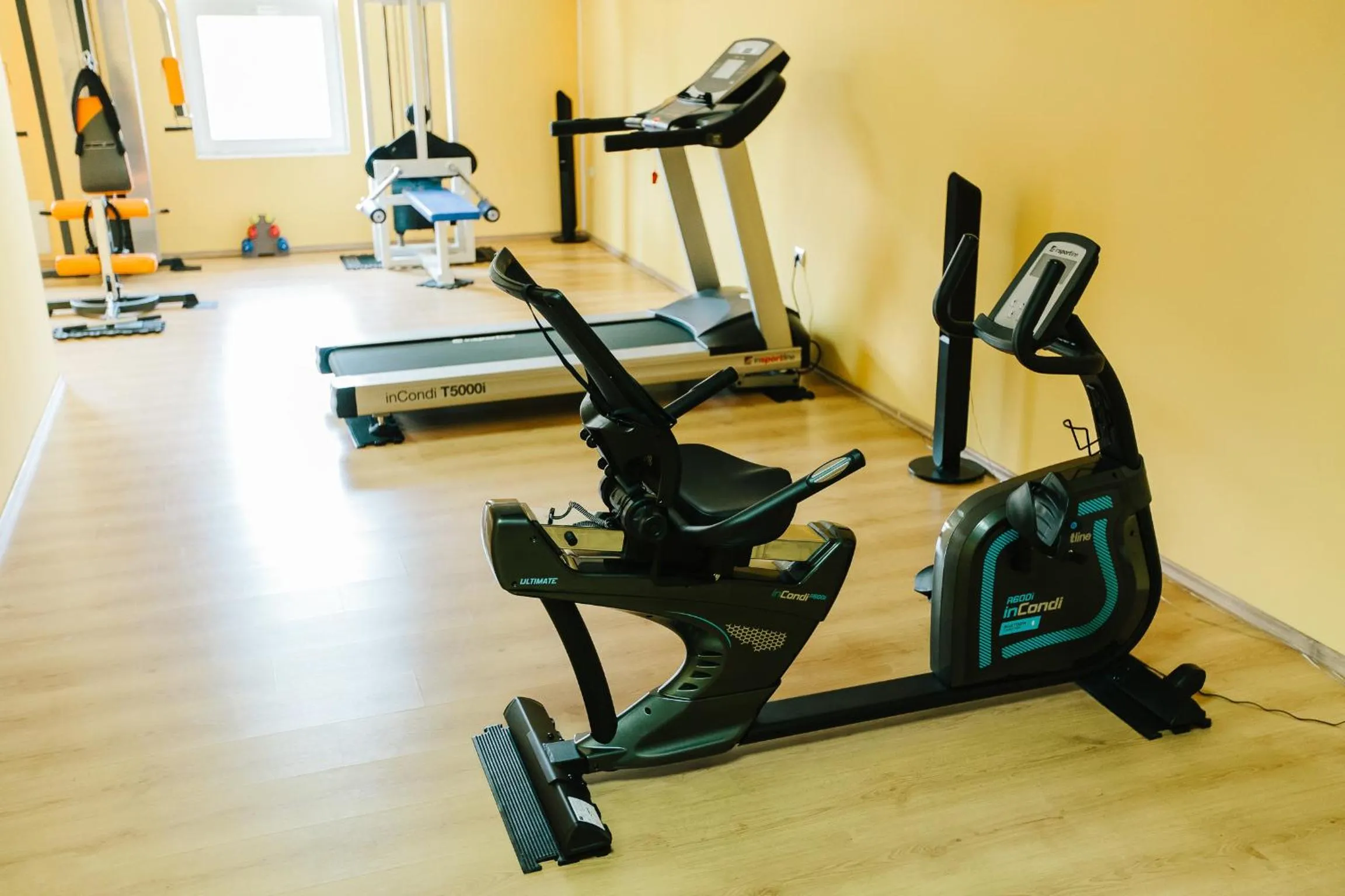 Fitness centre/facilities in Hotel Dobsi