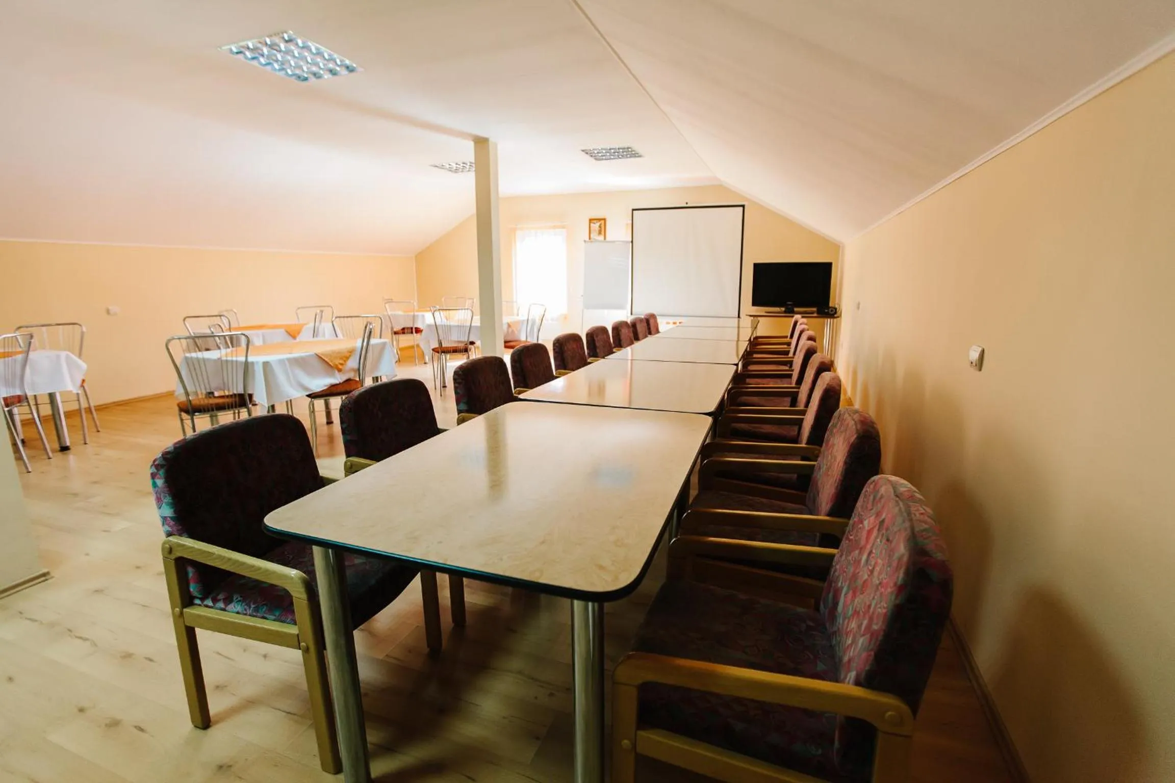 Meeting/conference room in Hotel Dobsi