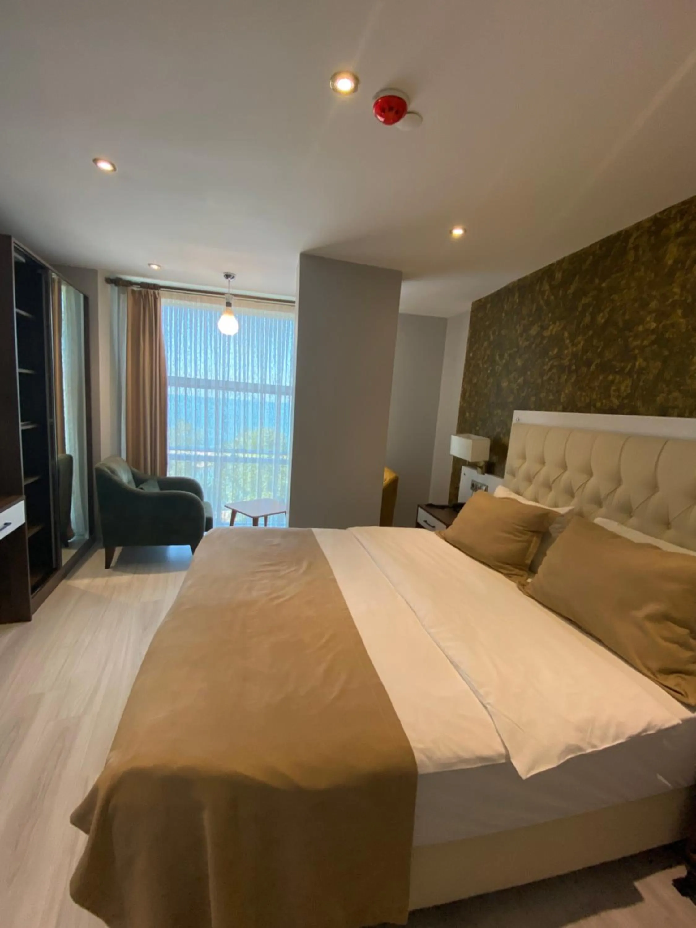 Photo of the whole room in The ALARGA